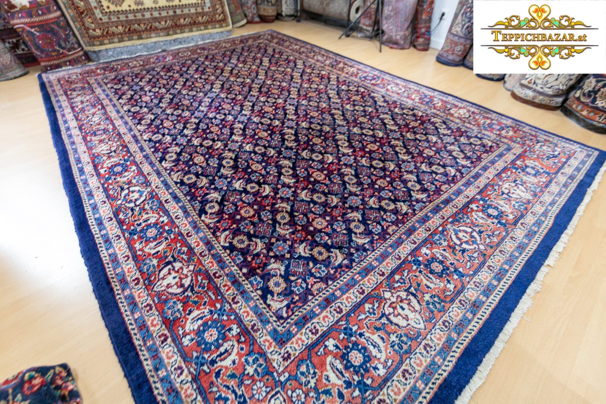 Perserteppich Sarough ca. 320x230cm Wolle handgeknüpft