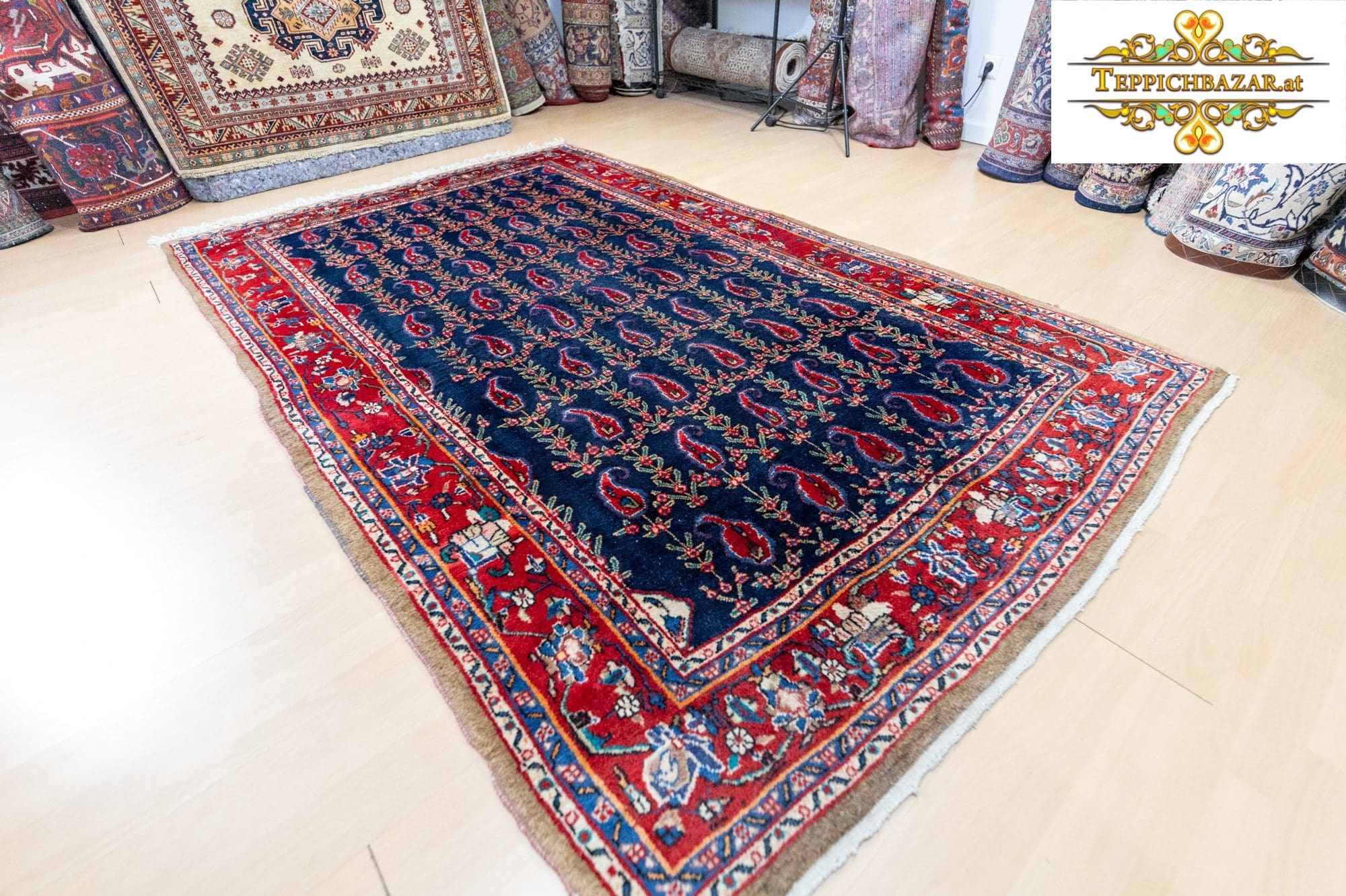 img_9153 Perserteppich Sarough Farahan 261x165 cm Wolle handgeknüpft