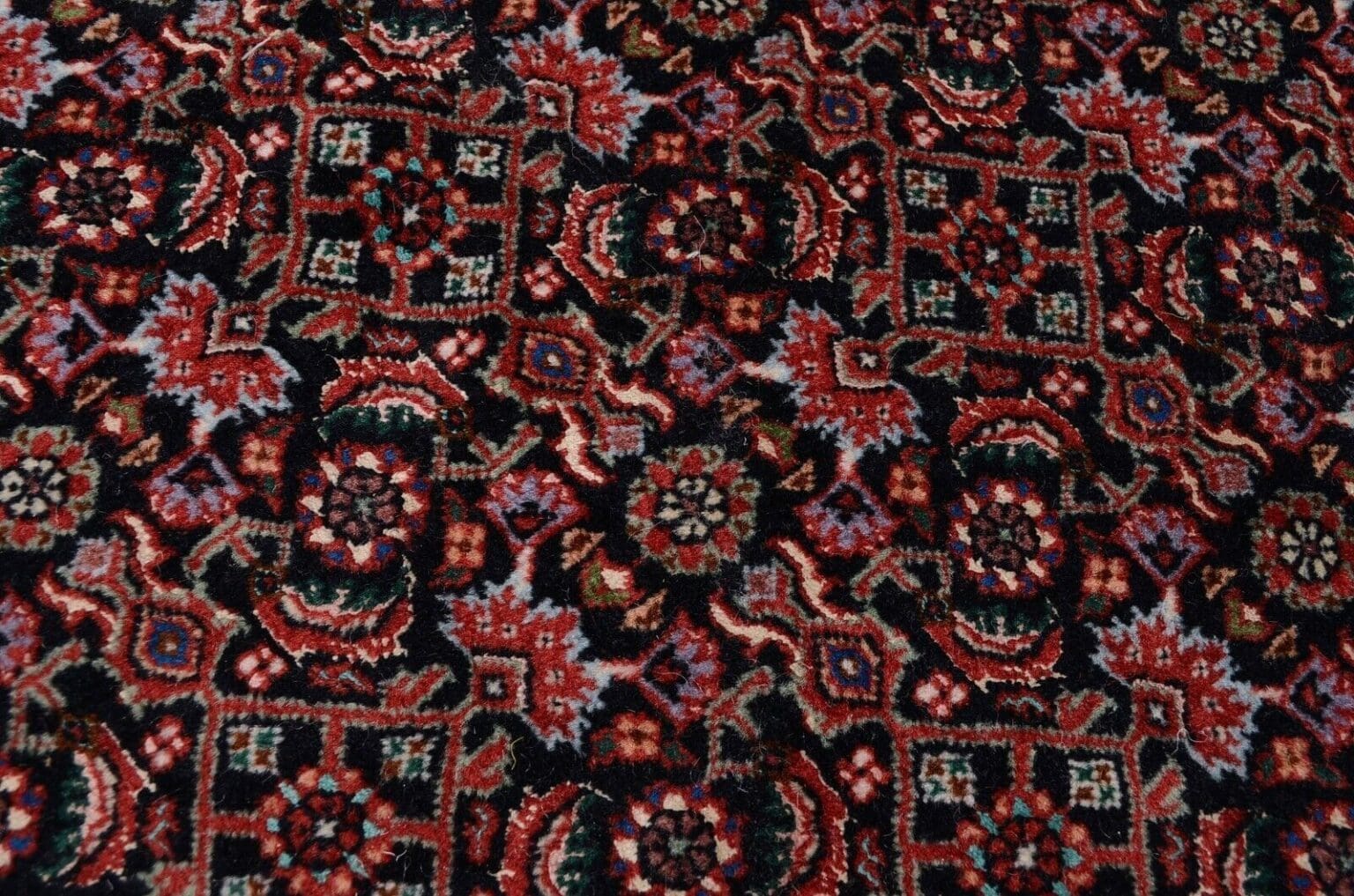 Perserteppich Bidjar Boukan 267 x 267 cm Wolle handgeknüpft