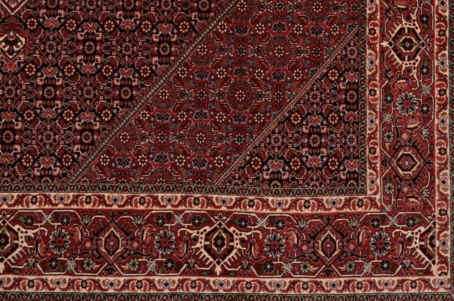 h1-handgeknupfter-perserteppich-bidjar-boukan-im-quadratischen-format-288-x-3 Perserteppich Bidjar Boukan 288 x 247 cm Wolle handgeknüpft