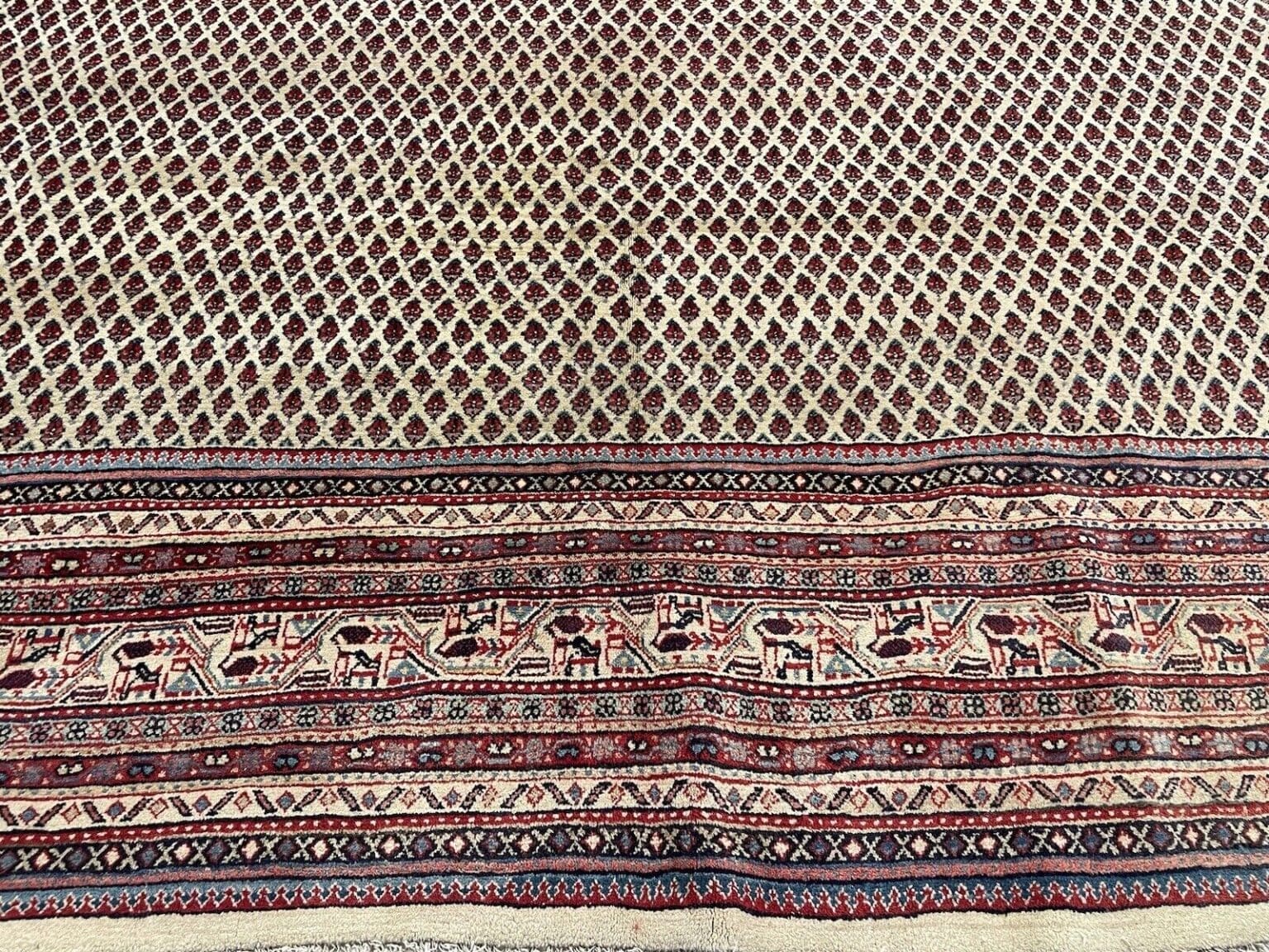 Perserteppich Sarough 300 x 300 cm Schurwolle handgeknüpft
