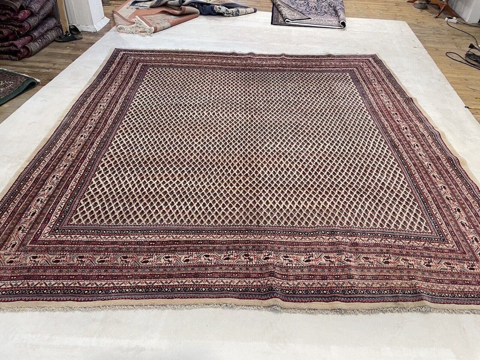 Perserteppich Sarough 300 x 300 cm Schurwolle handgeknüpft
