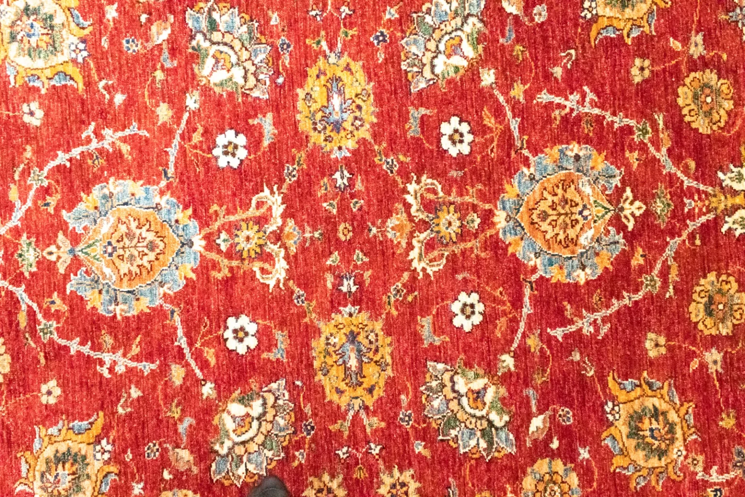 Orientteppich Samarkand 242 x 177 cm Schurwolle handgeknüpft