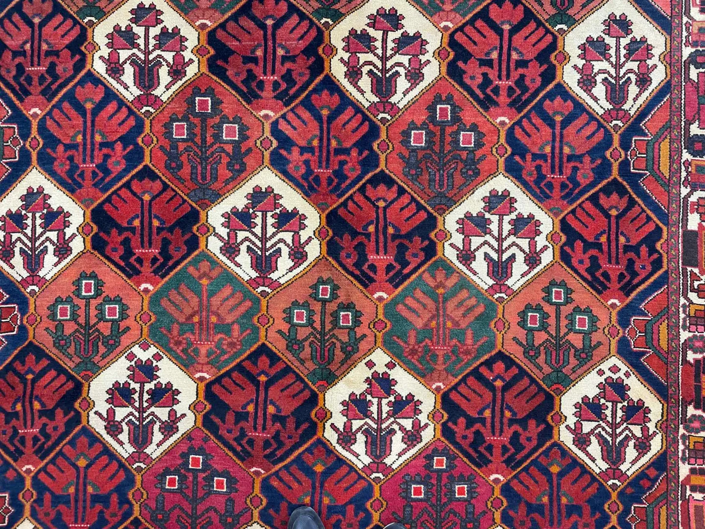 Perserteppich Bakhtiar 317 x 217 cm Wolle handgeknüpft