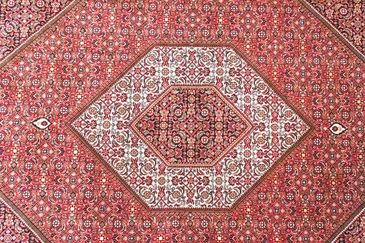 Orientteppich Bidjar 286 x 208 cm Wolle handgeknüpft