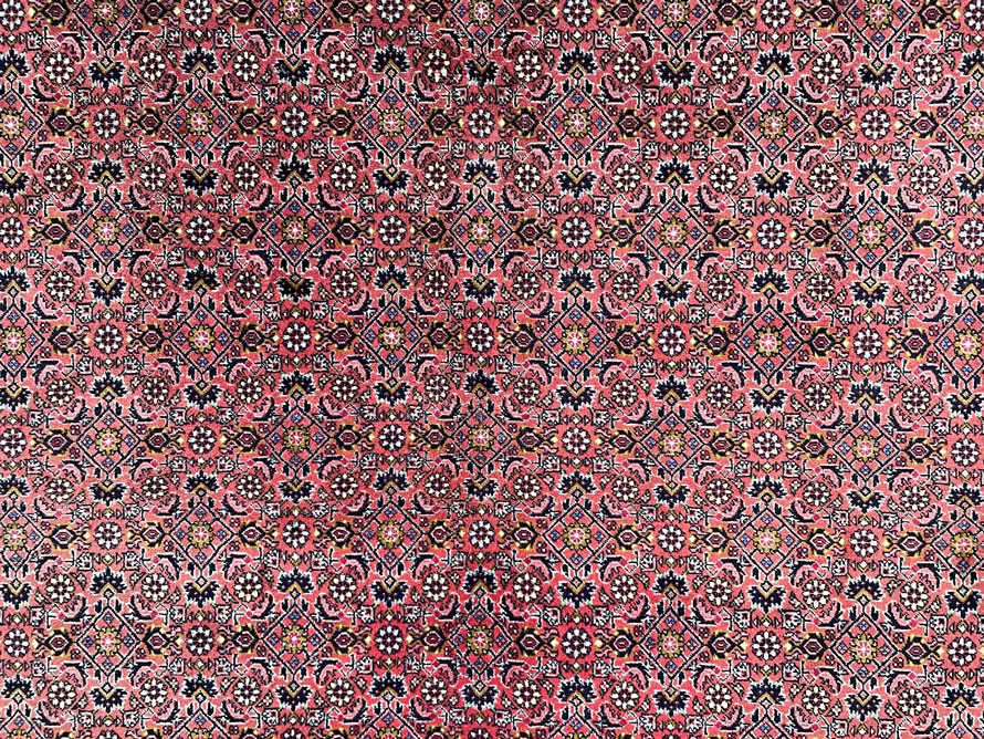 Perserteppich Bidjar 290 x 198 cm Wolle handgeknüpft