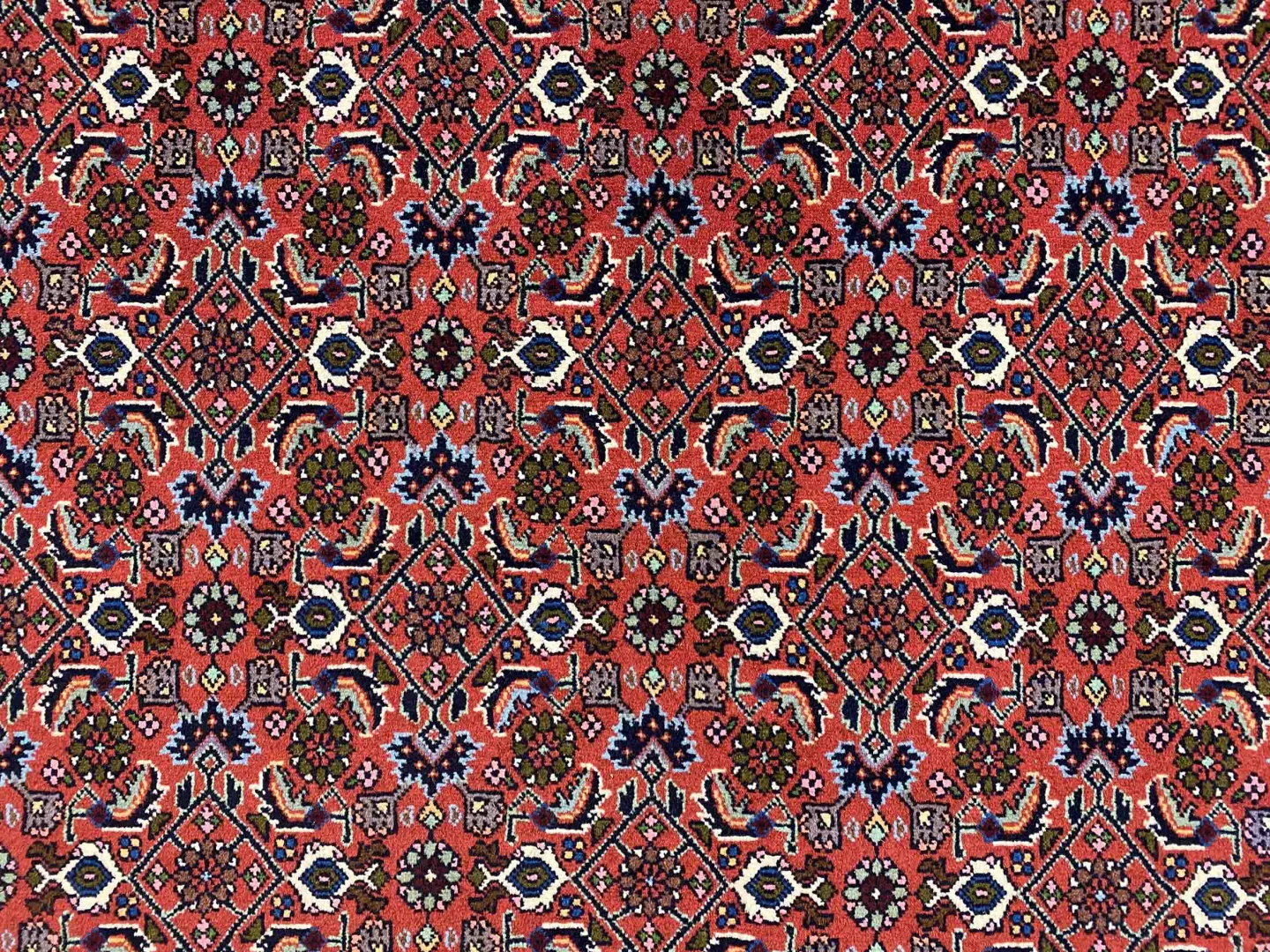 Perserteppich Zandschan 219 x 142 cm Baumwolle handgeknüpft