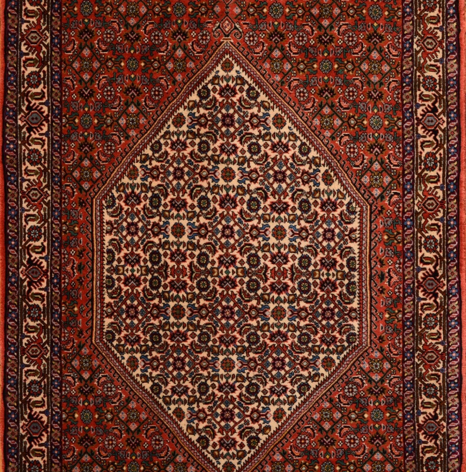 Perserteppich Bidjar Tekab 320 x 90 cm Wolle handgeknüpft