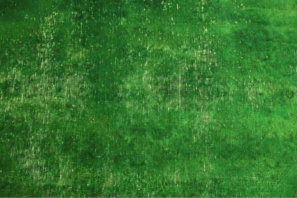 Orientteppich 350x239 cm Wolle handgeknüpft