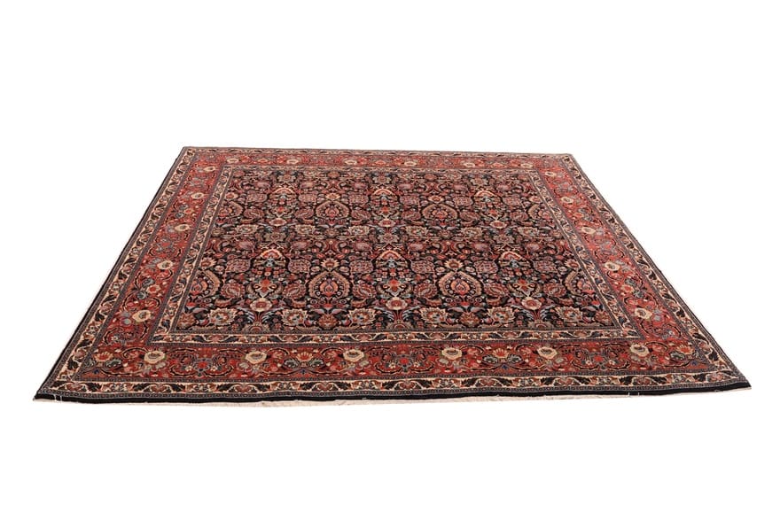Bijar Perserteppich 243 × 252 cm aus Wolle, handgeknüpft