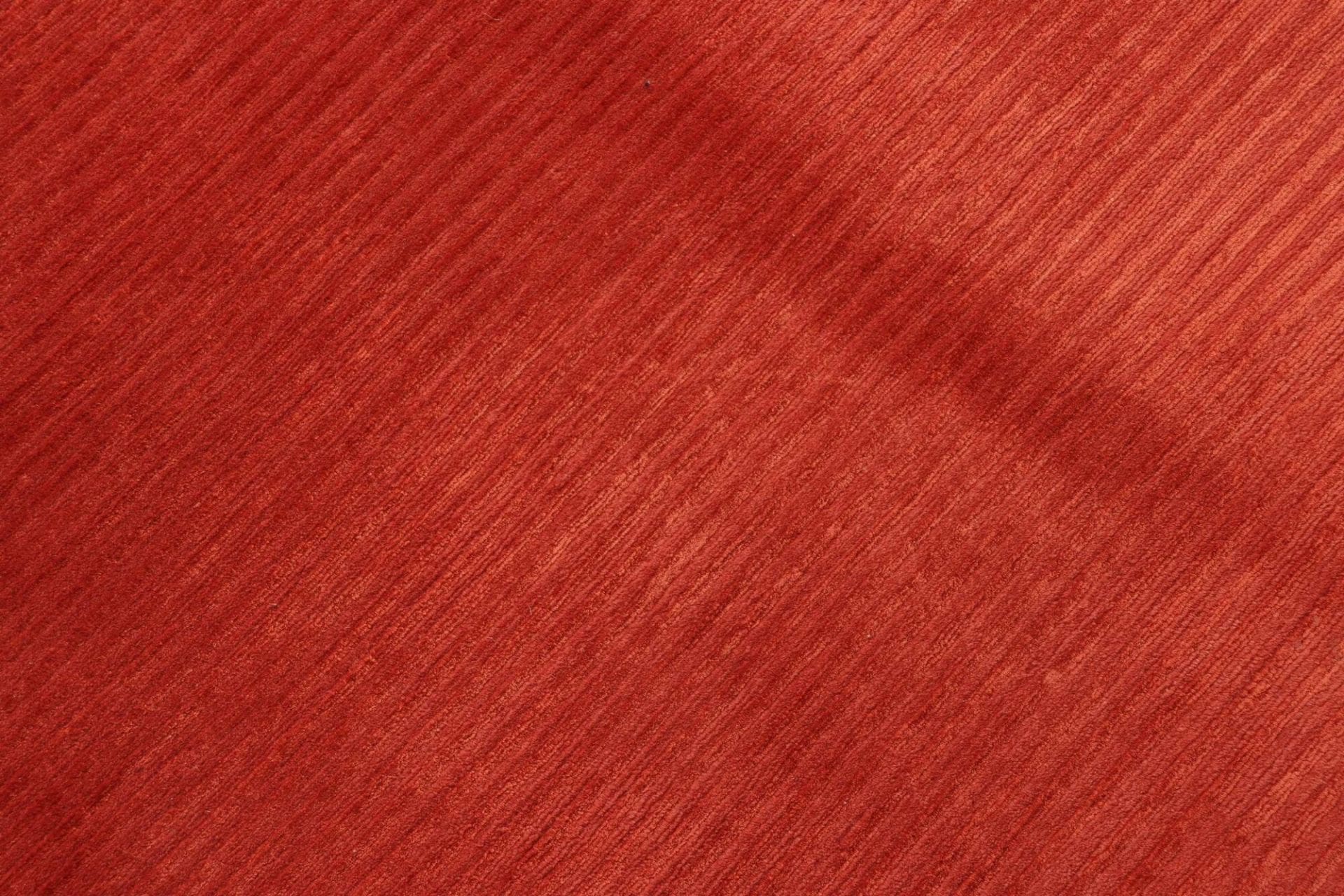 Nepal Teppich 203 × 300 cm aus Wolle, handgeknüpft