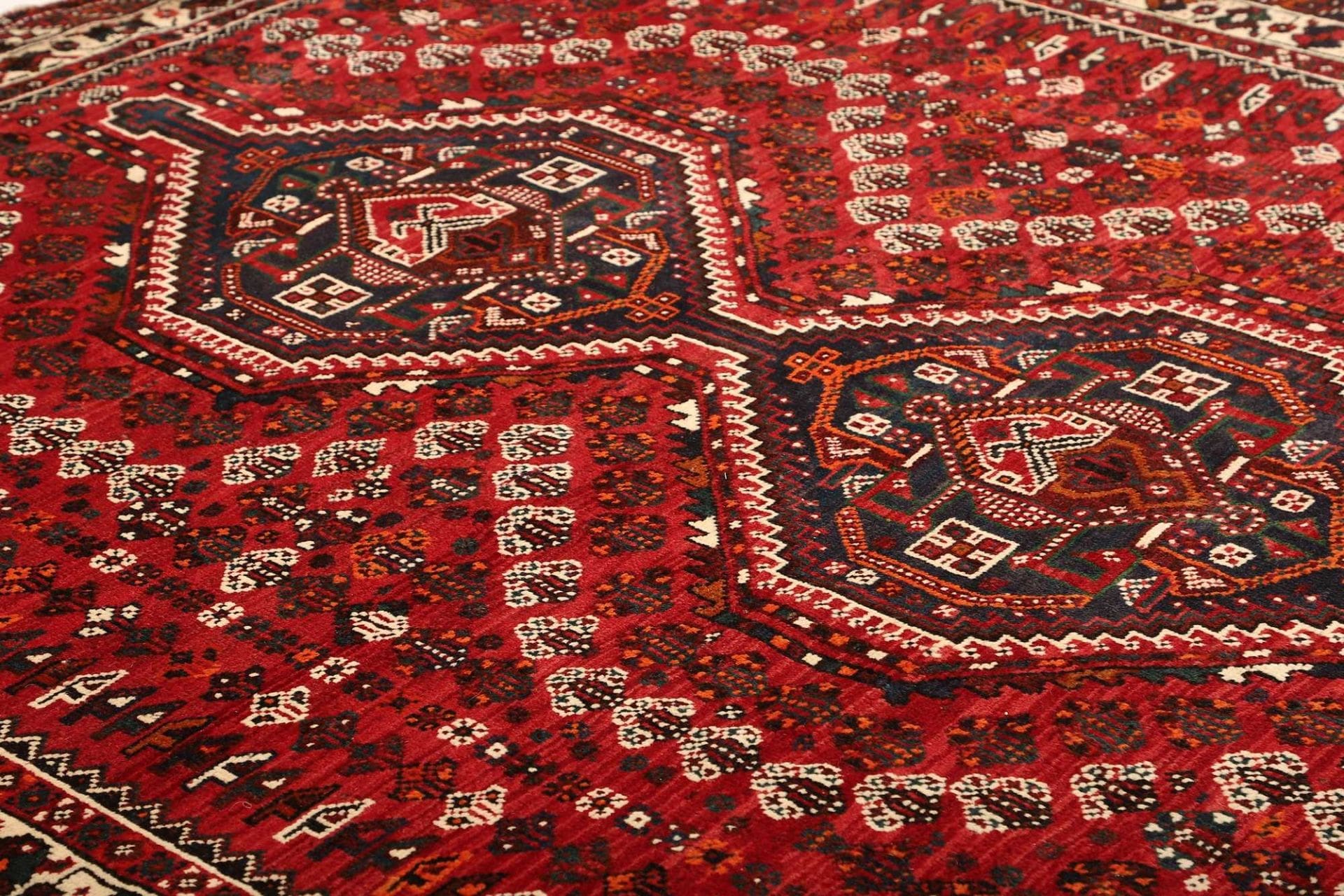 Shiraz Perserteppich 213 × 297 cm aus Wolle, handgeknüpft