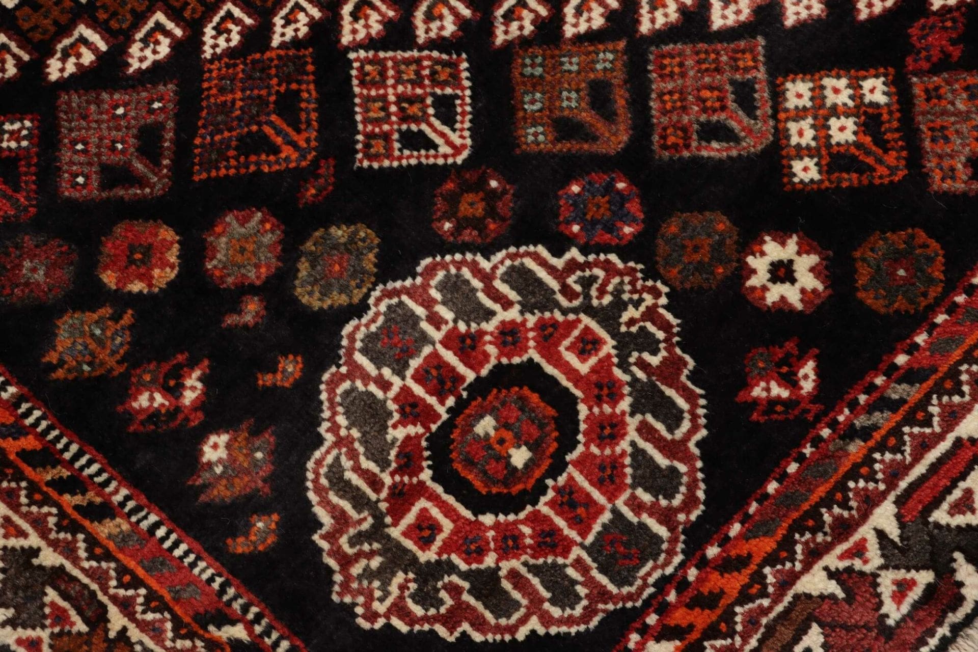 Shiraz Perserteppich 175 × 267 cm aus Wolle, handgeknüpft
