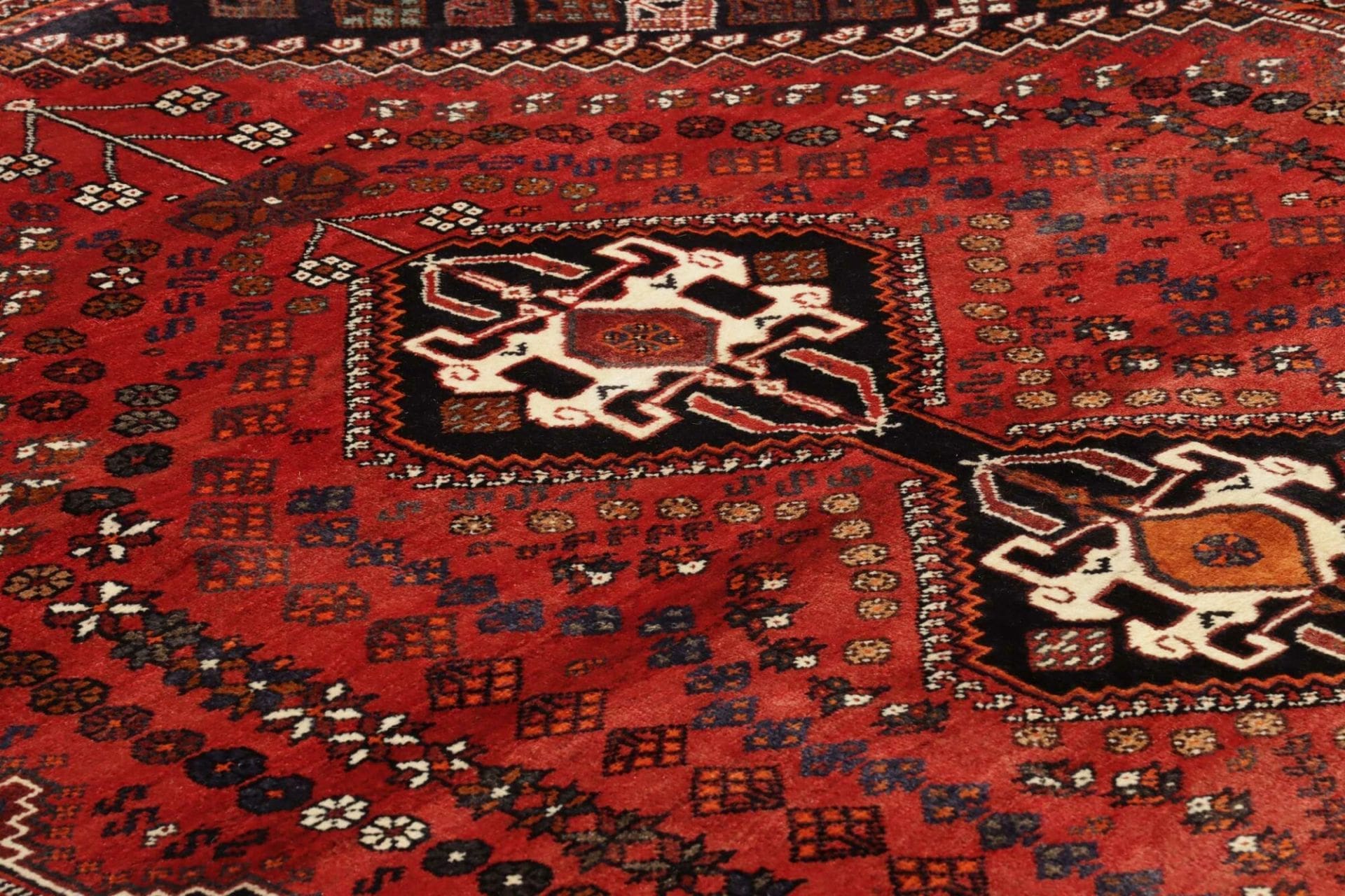 Shiraz Perserteppich 175 × 267 cm aus Wolle, handgeknüpft