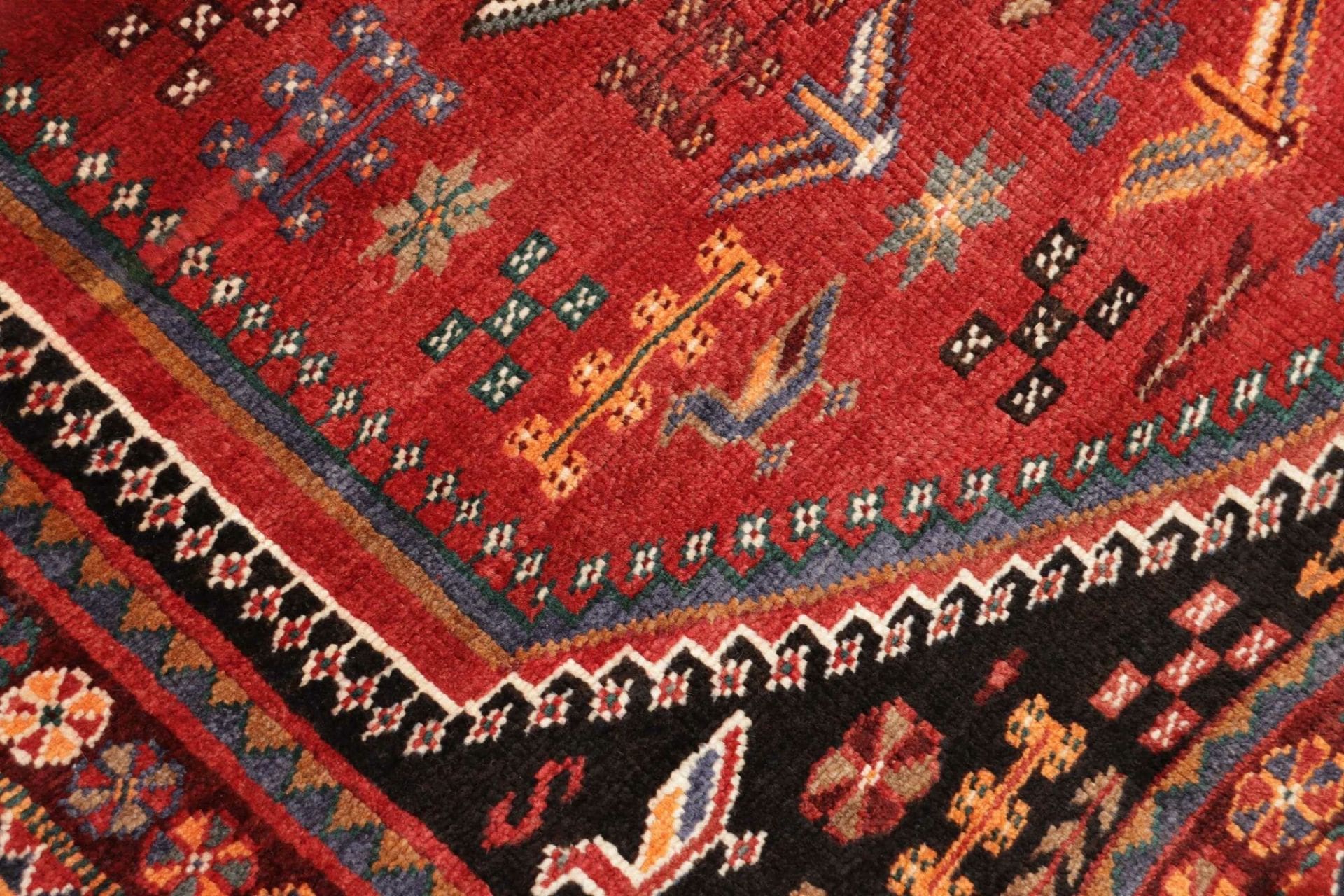 Shiraz Perserteppich 153 × 248 cm aus Wolle, handgeknüpft