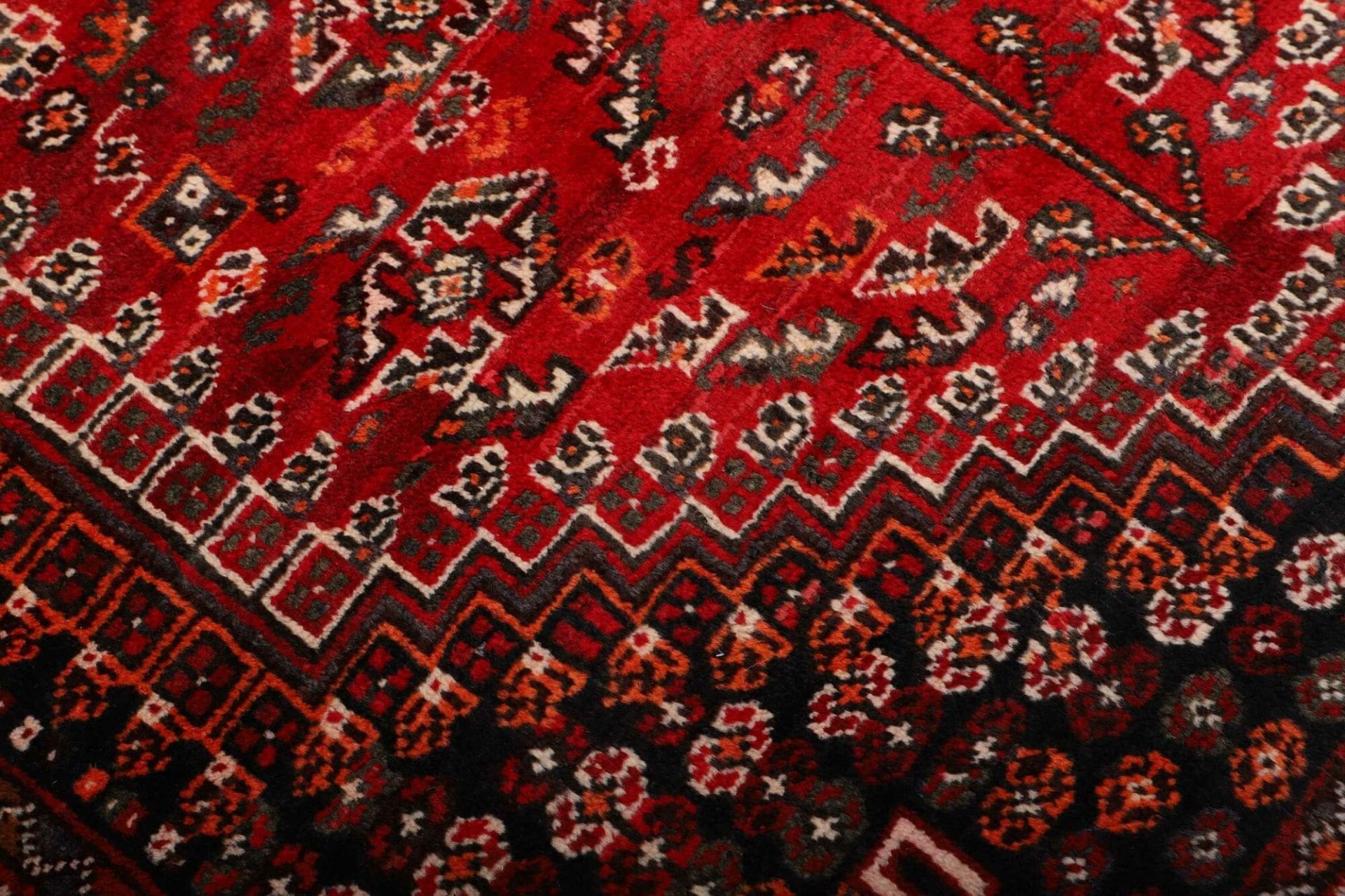 Shiraz Perserteppich 165 × 248 cm aus Wolle, handgeknüpft
