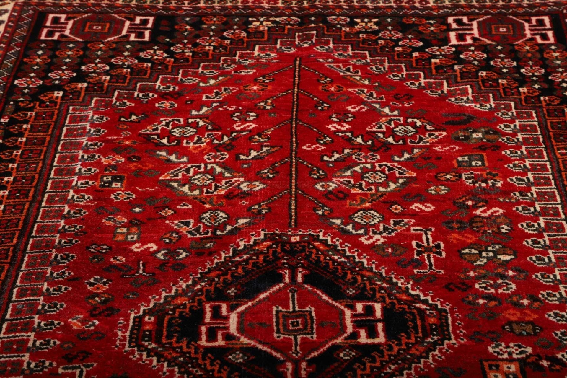 Shiraz Perserteppich 165 × 248 cm aus Wolle, handgeknüpft