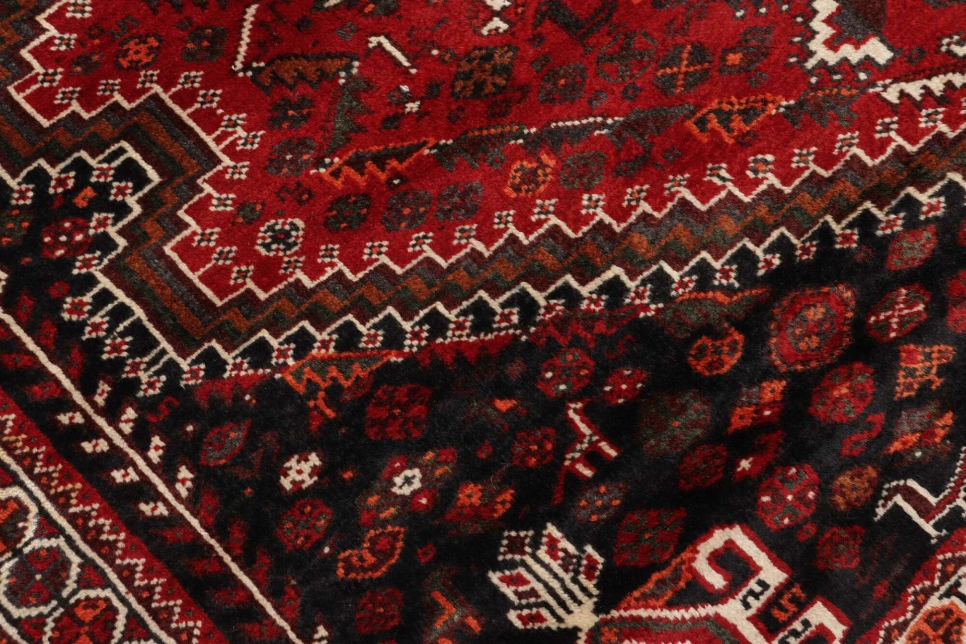 Shiraz Perserteppich aus Iran, 166 × 268 cm