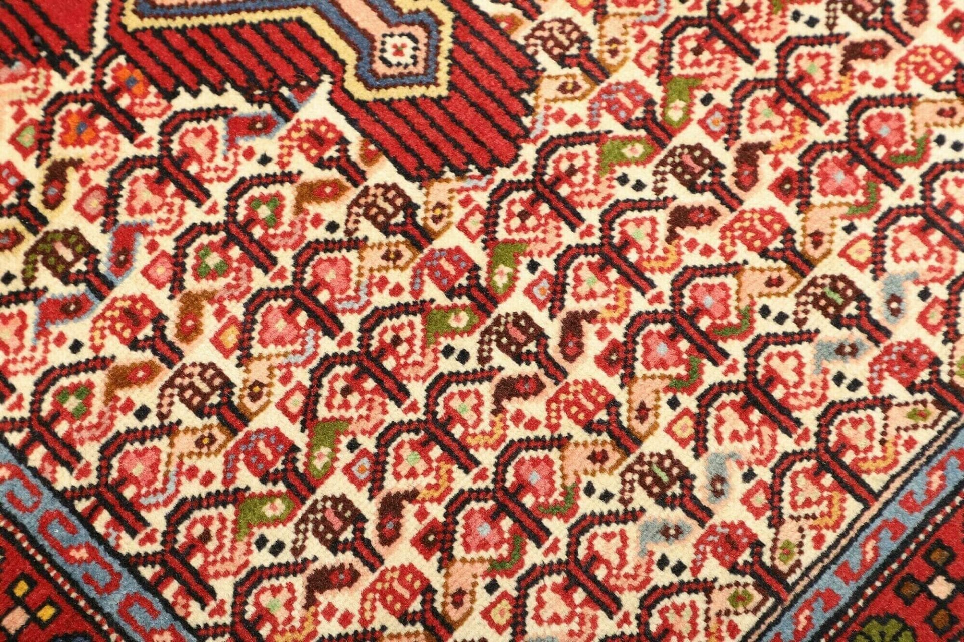 hamadan-teppich-80-x-132-cm-herati-muster-schurwolle-handgeknupft-5 Handgeknüpfter Hamadan Herati Perserteppich 80 × 132 cm