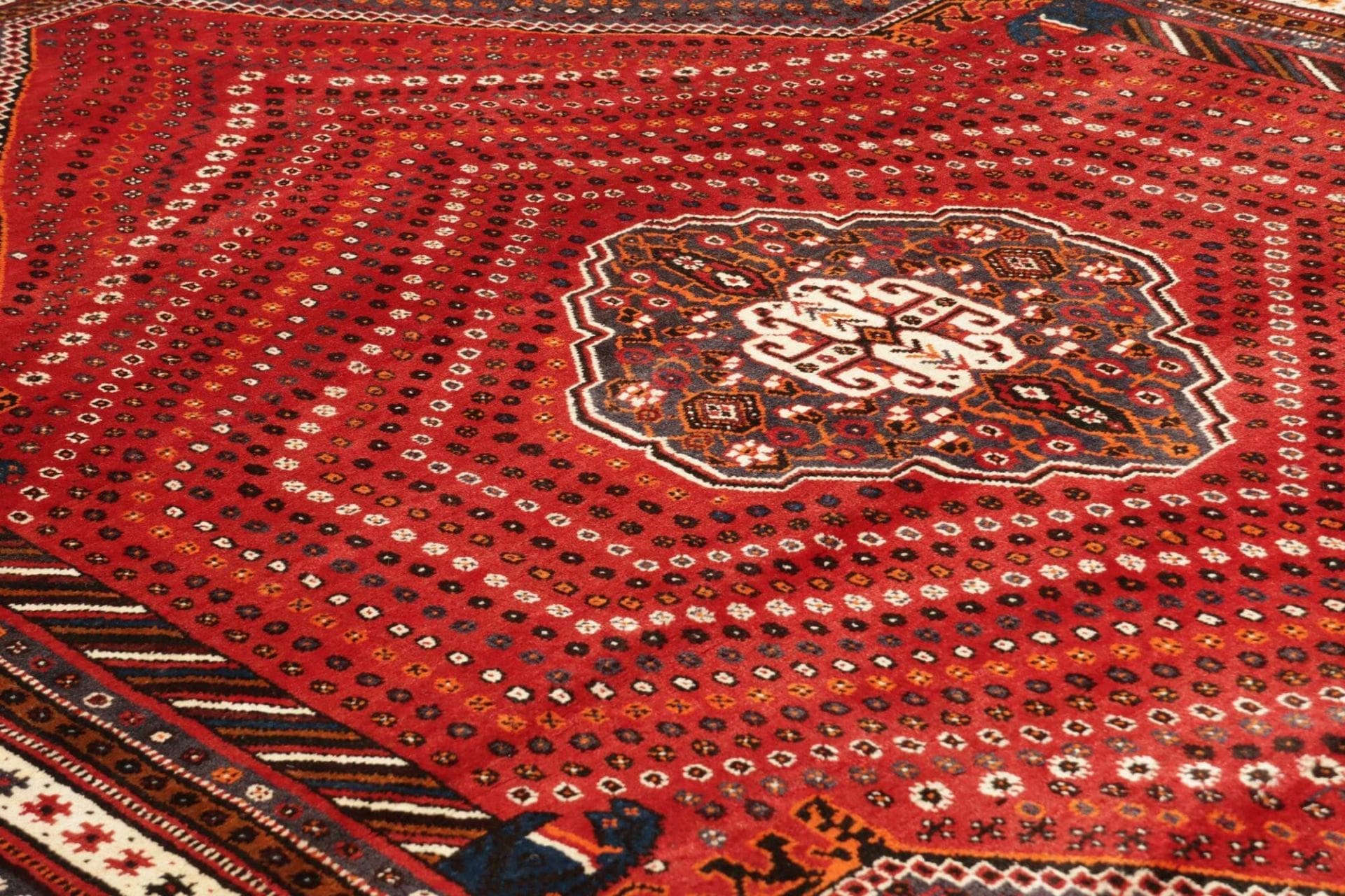 Shiraz Perserteppich 183 × 260 cm aus Wolle, handgeknüpft