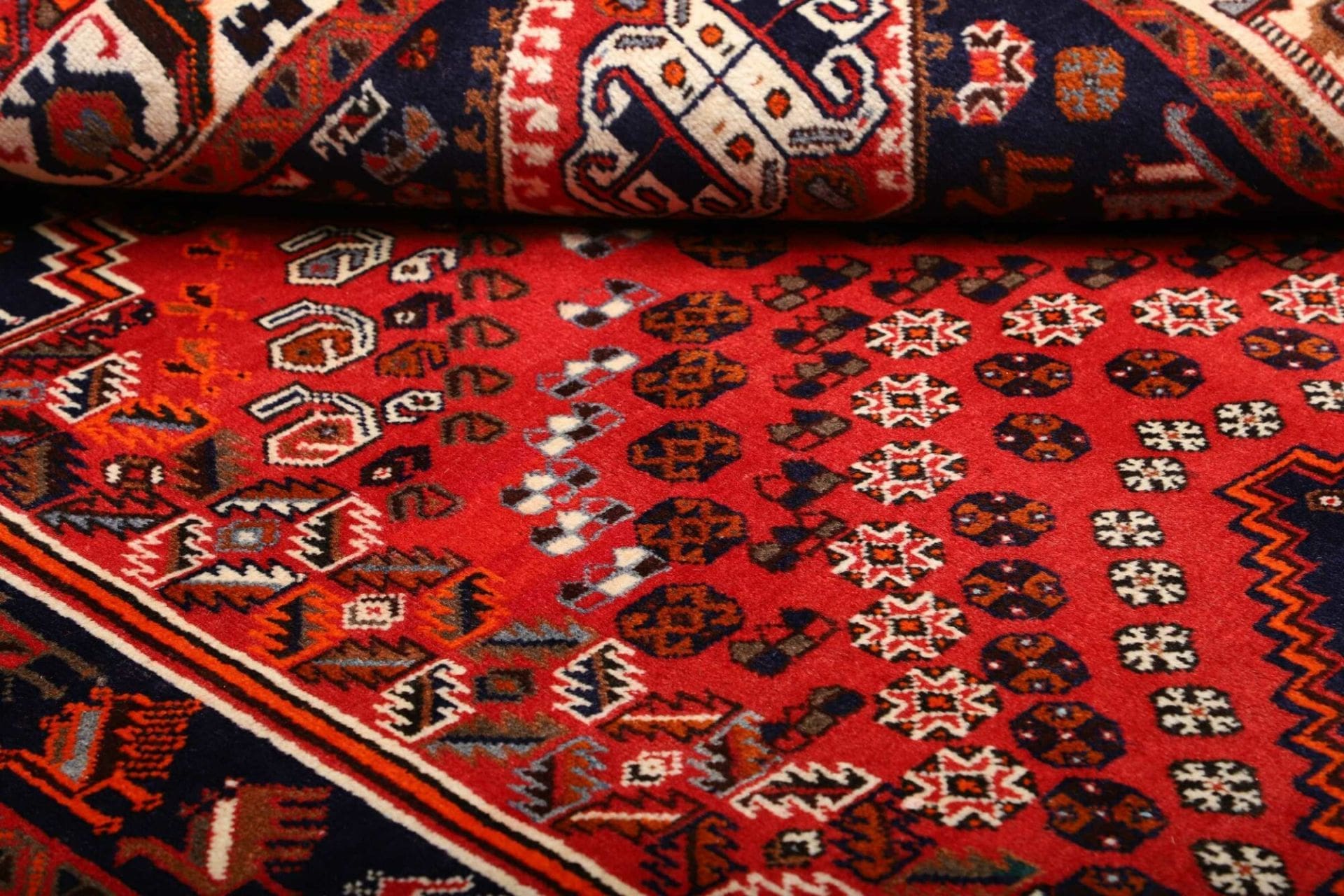 Shiraz Perserteppich 168 × 277 cm aus Wolle, handgeknüpft