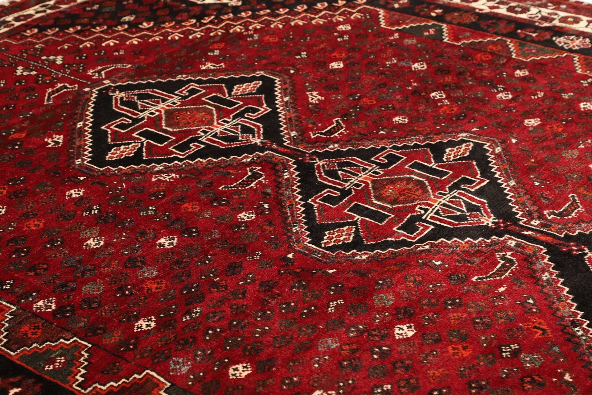 Handgeknüpfter Shiraz Perserteppich, 228 × 310 cm, Wolle