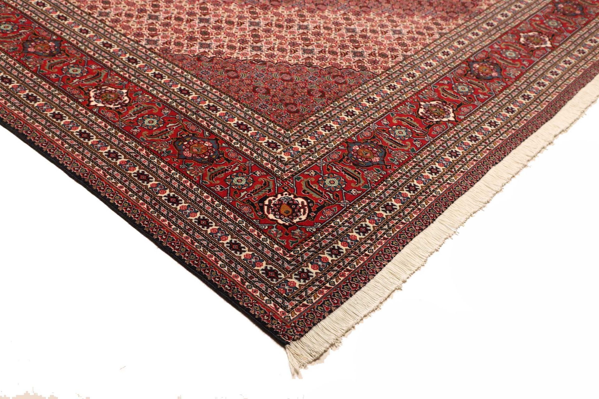 perserteppich-sarab-271-x-369-cm-schurwolle-handgeknupft-19 Handgeknüpfter Perserteppich 271 × 369 cm