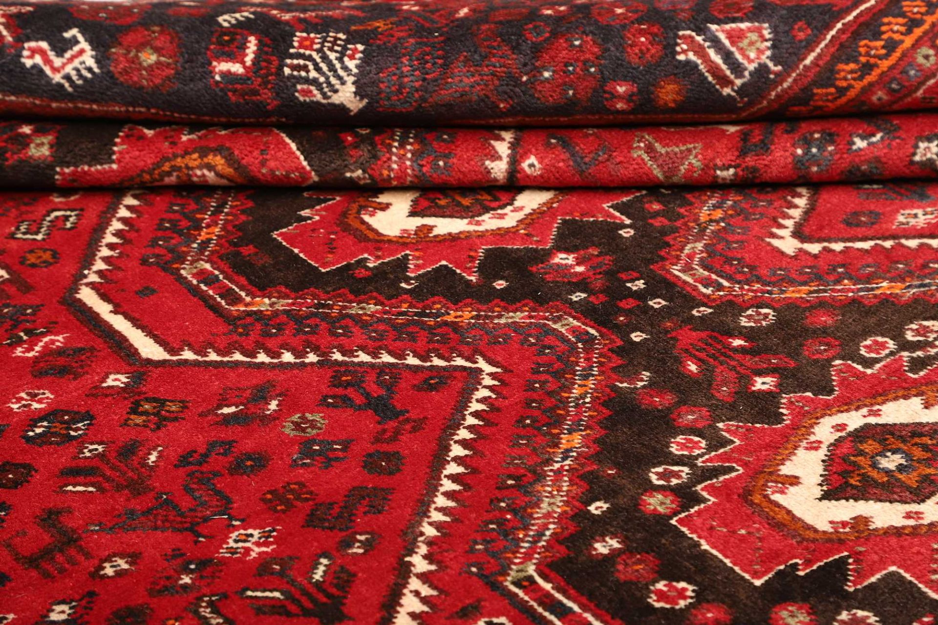 Shiraz Perserteppich 236 × 336 cm aus Wolle, handgeknüpft