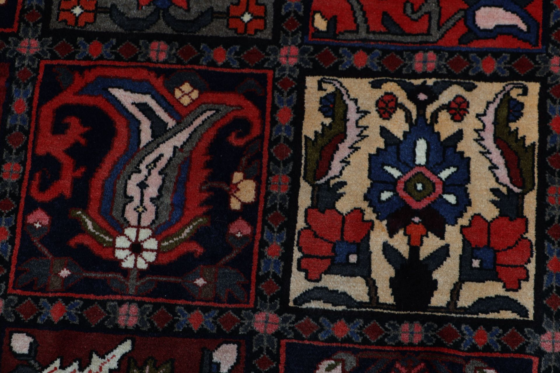 Bakhtiari Perserteppich 217 × 317 cm aus Wolle, handgeknüpft