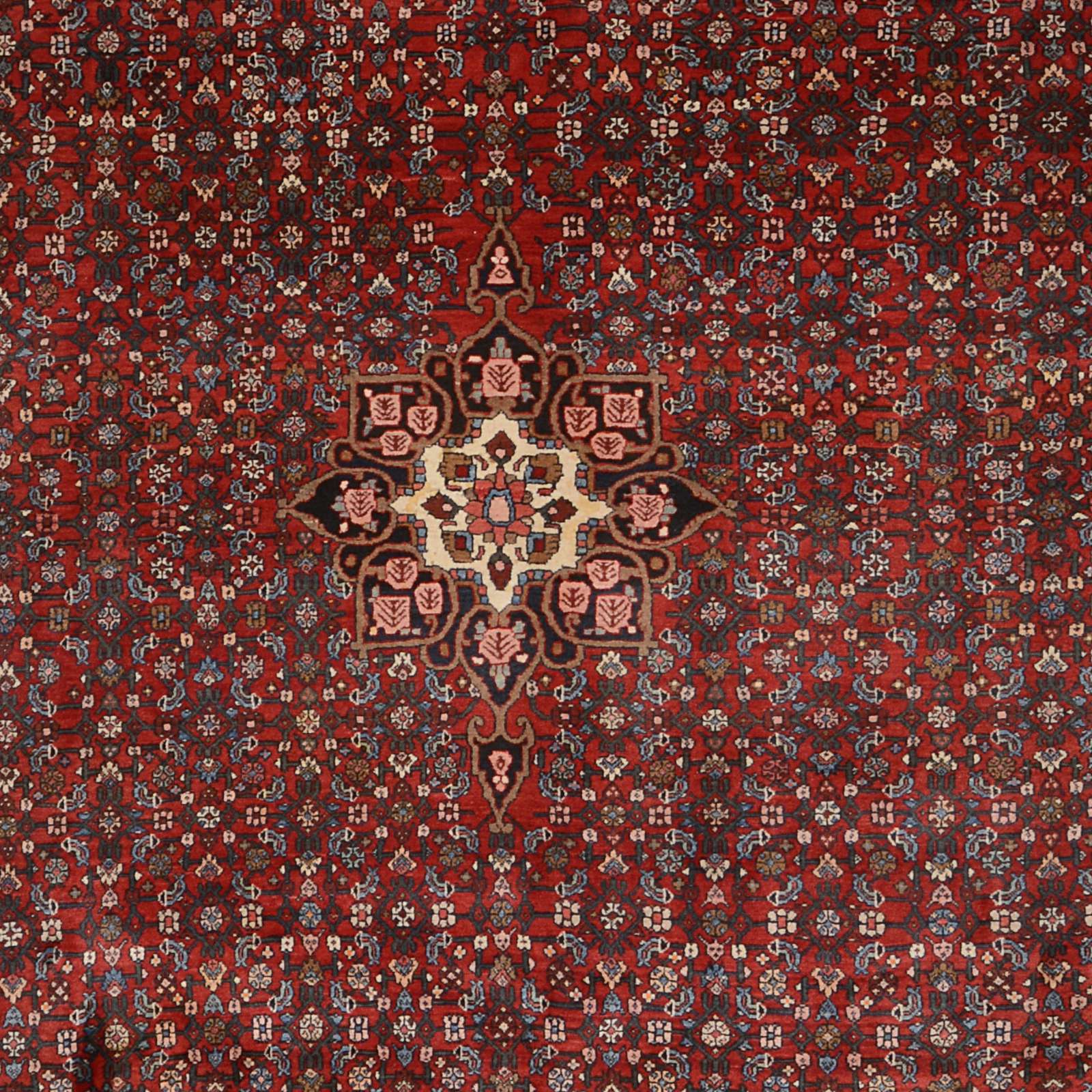 Handgeknüpfter Bijar Perserteppich, 271 × 372 cm, Wolle