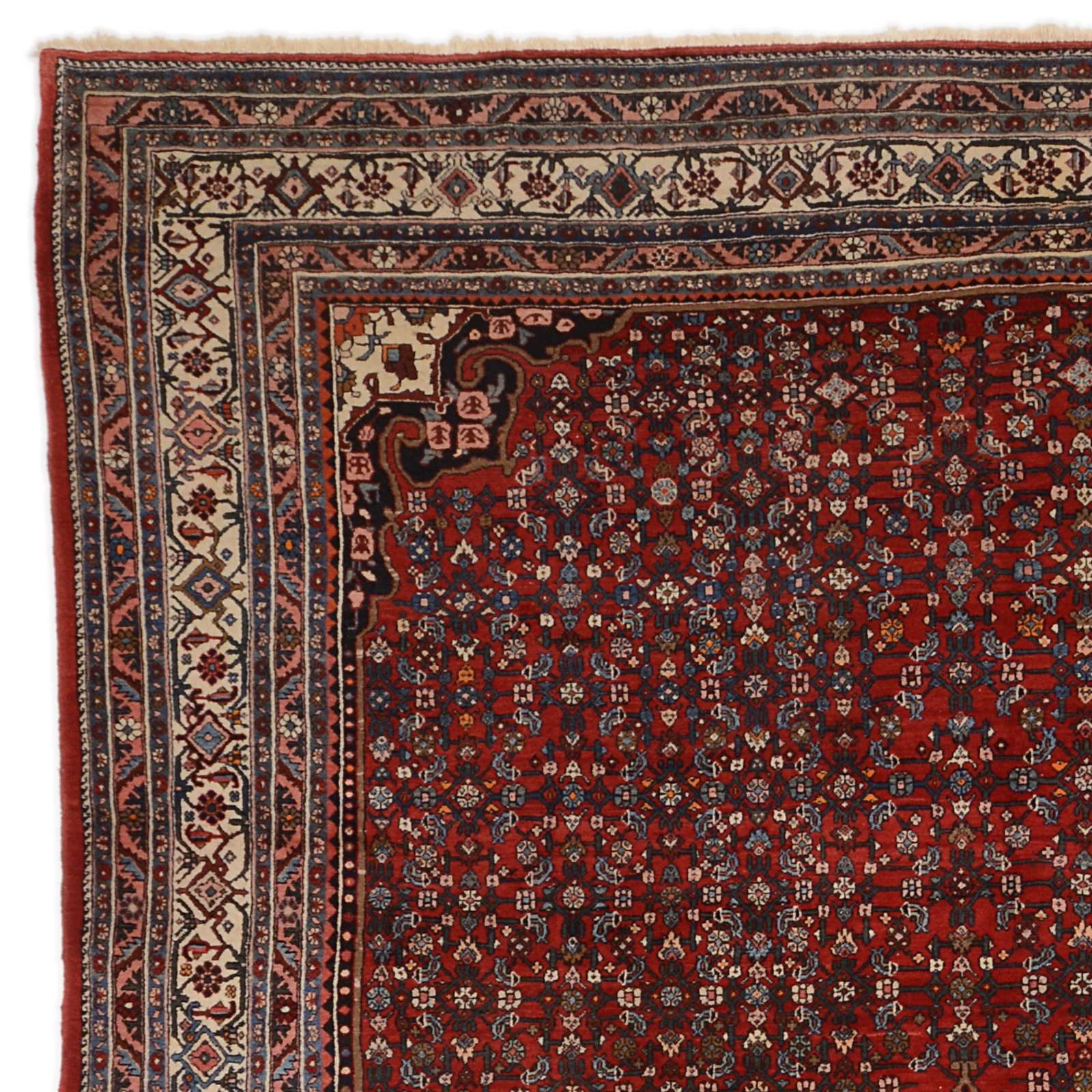 Handgeknüpfter Bijar Perserteppich, 271 × 372 cm, Wolle