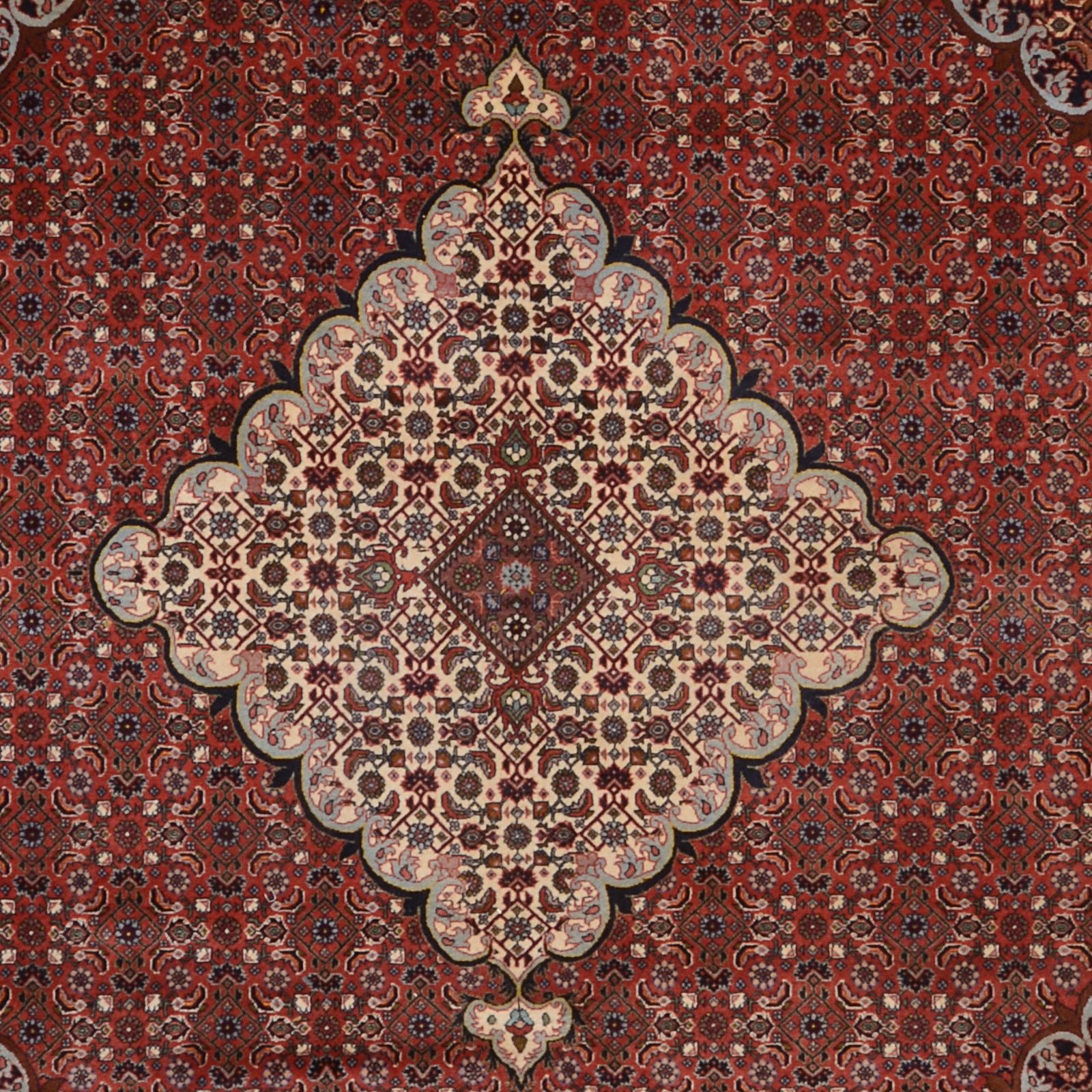 Handgeknüpfter Bijar Perserteppich, 300 × 340 cm, Wolle