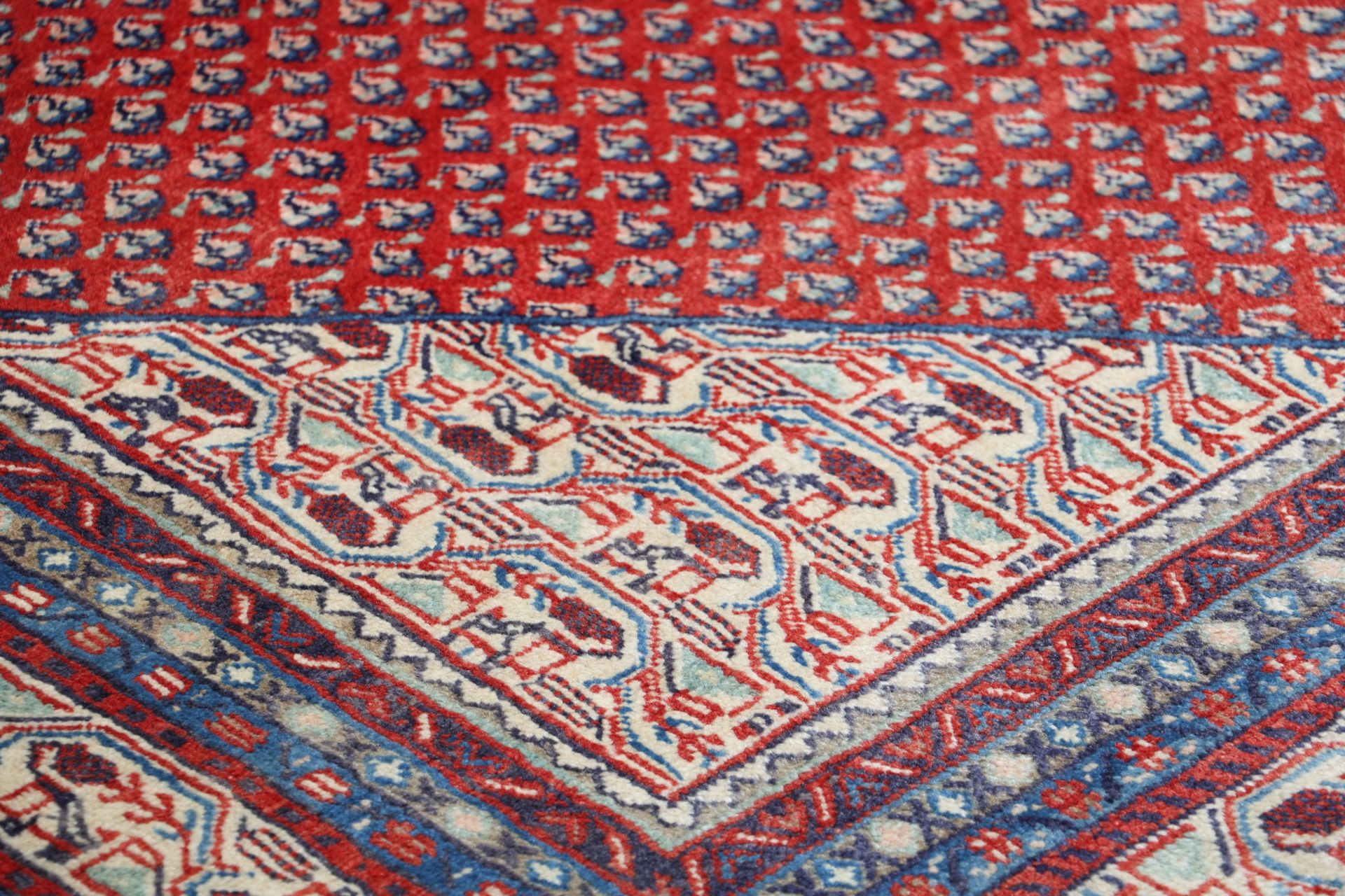 Sarough Perserteppich 234 × 338 cm aus Wolle, handgeknüpft
