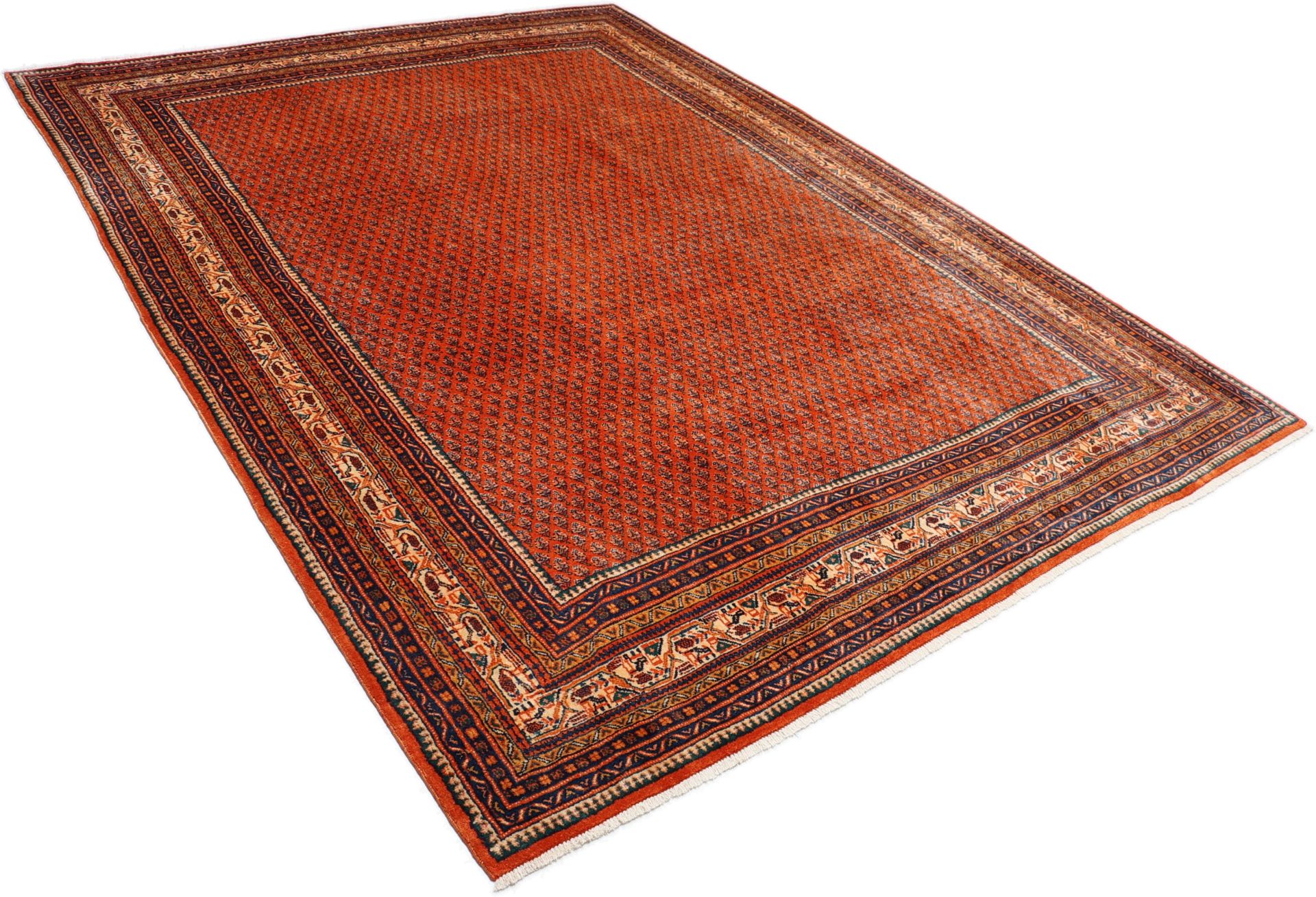 Handgeknüpfter Sarough Perserteppich 245 × 330 cm