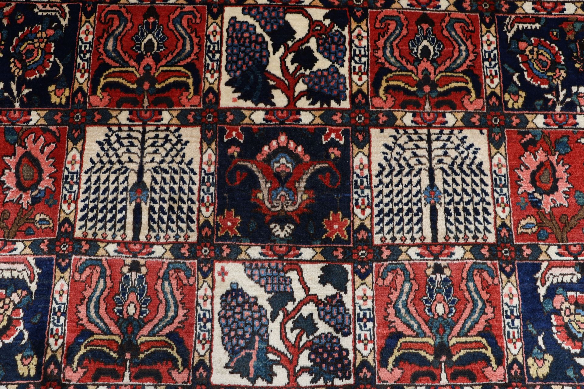 Bakhtiari Perserteppich 268 × 374 cm aus Wolle, handgeknüpft