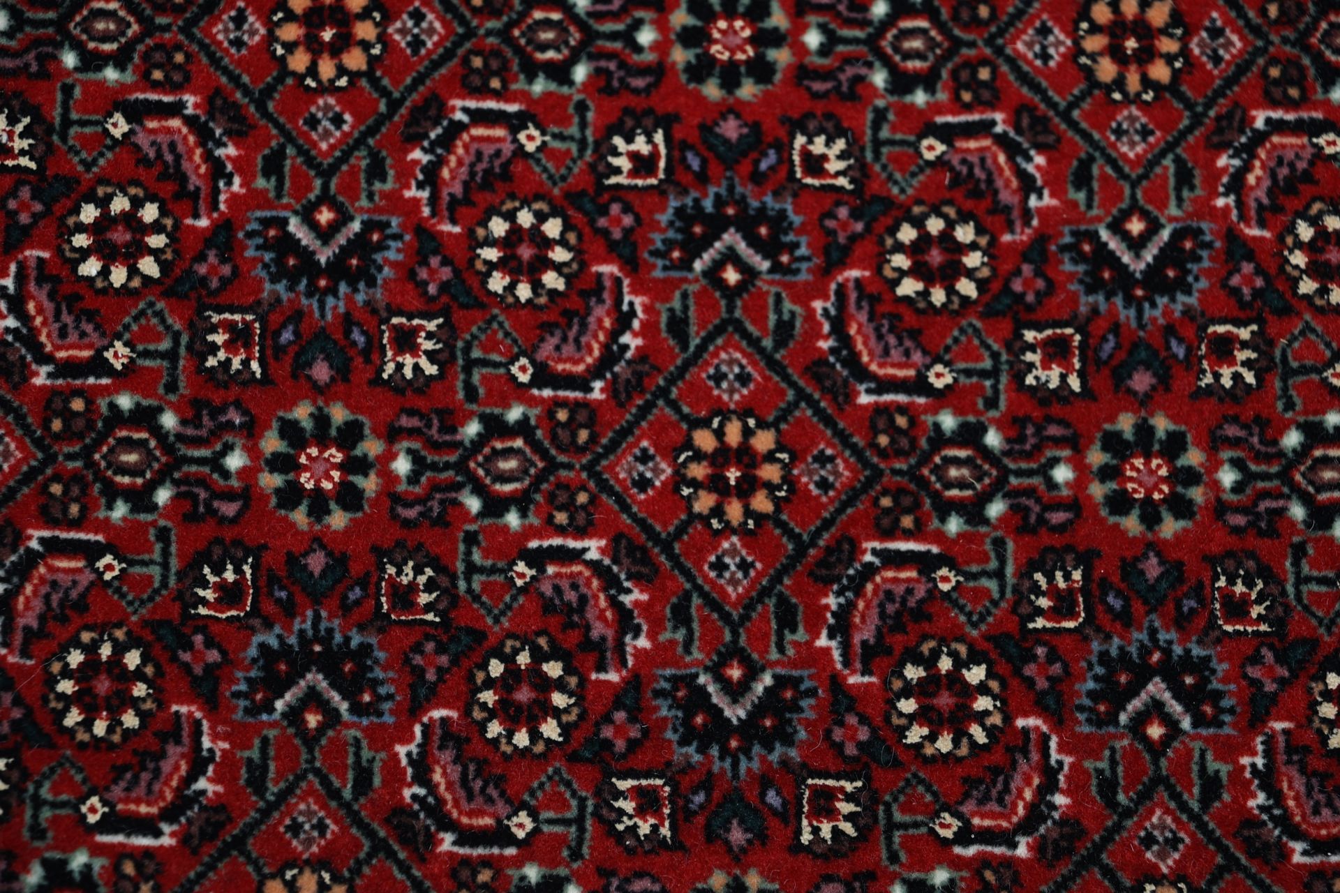 Handgeknüpfter Bijar Perserteppich, 250 × 360 cm, Wolle & Seide