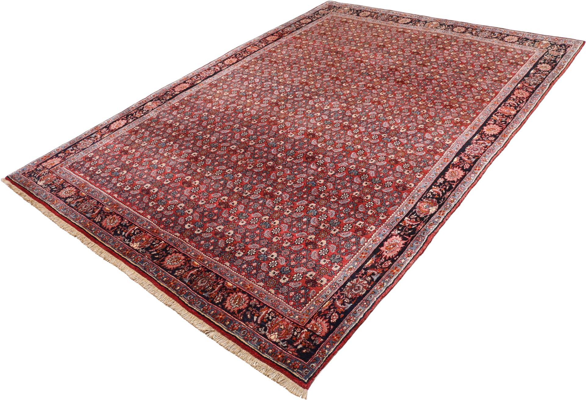 Handgeknüpfter Bijar Perserteppich 225 × 335 cm