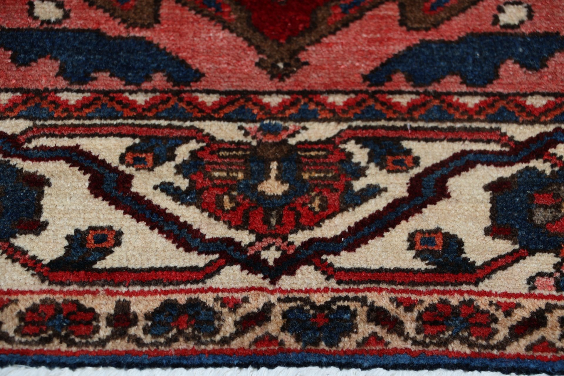 perserteppich-bachtiar-228-x-300-cm-schurwolle-handgeknupft-6 Handgeknüpfter Bakhtiari Perserteppich 228 × 300 cm