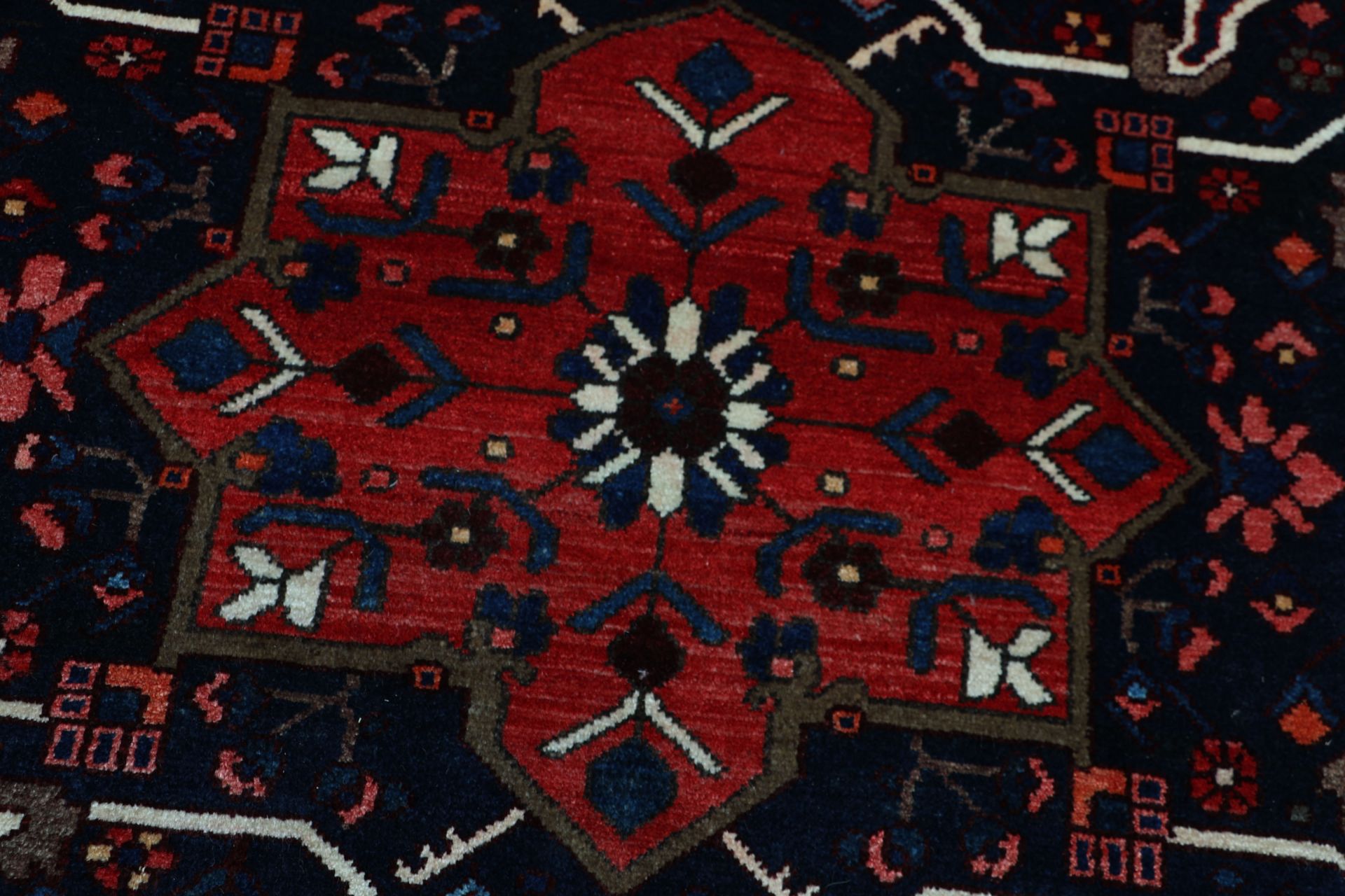 perserteppich-bachtiar-228-x-300-cm-schurwolle-handgeknupft-8 Handgeknüpfter Bakhtiari Perserteppich 228 × 300 cm