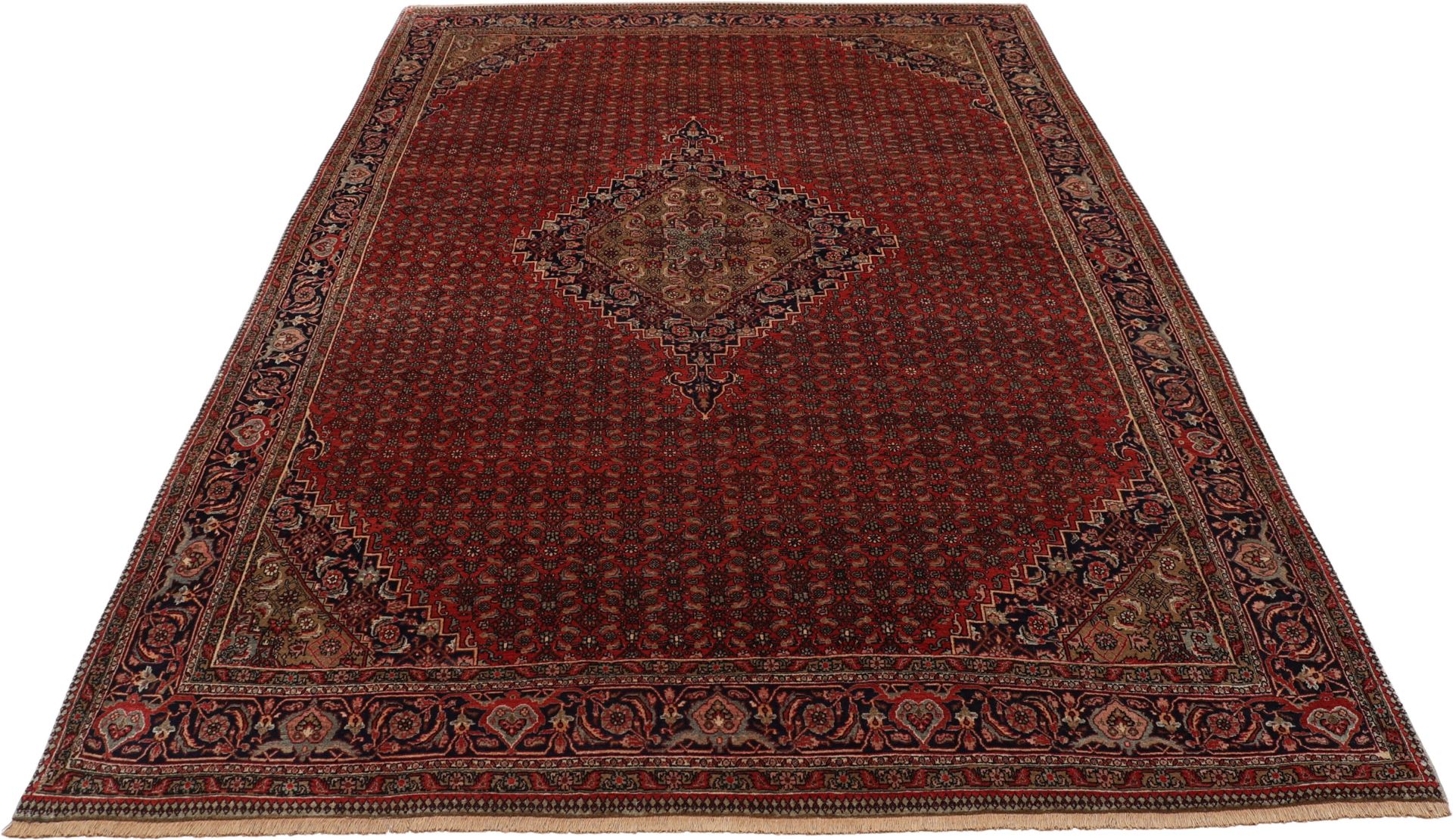 Handgeknüpfter Bijar Perserteppich 228 × 332 cm