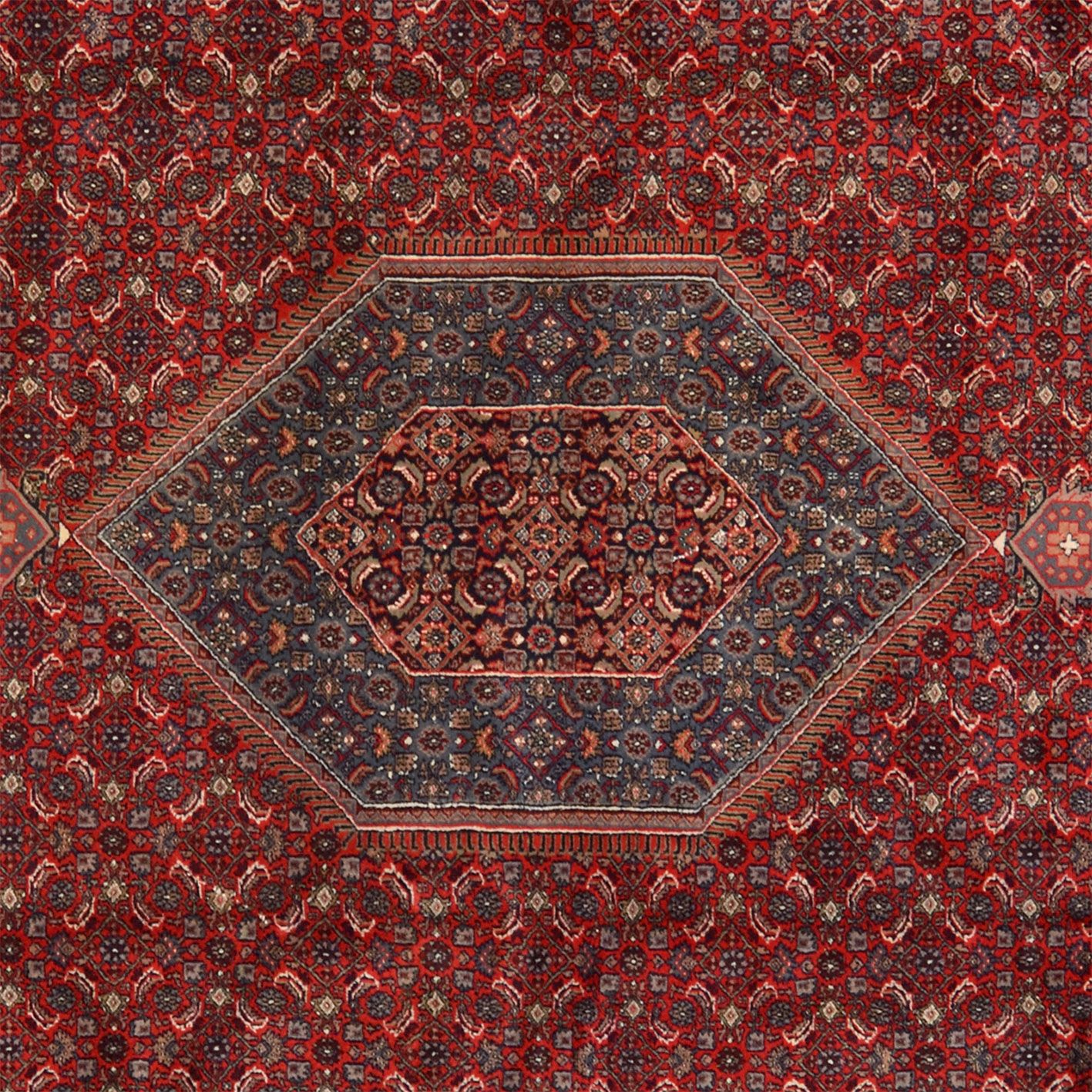 Bijar Orientteppich 368 × 564 cm aus Wolle, handgeknüpft