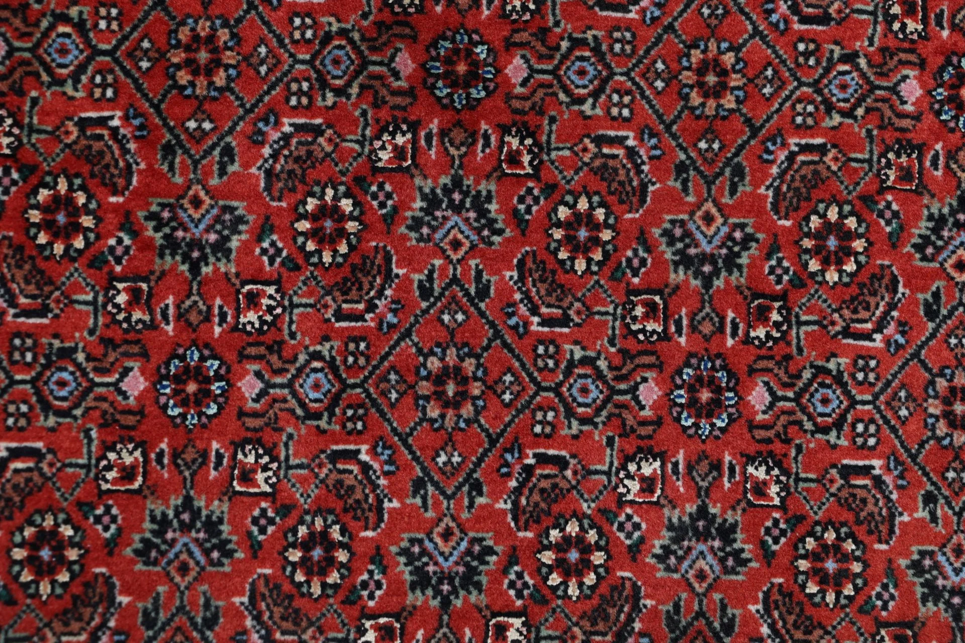 Handgeknüpfter Bijar Perserteppich, 200 × 305 cm, Wolle & Seide