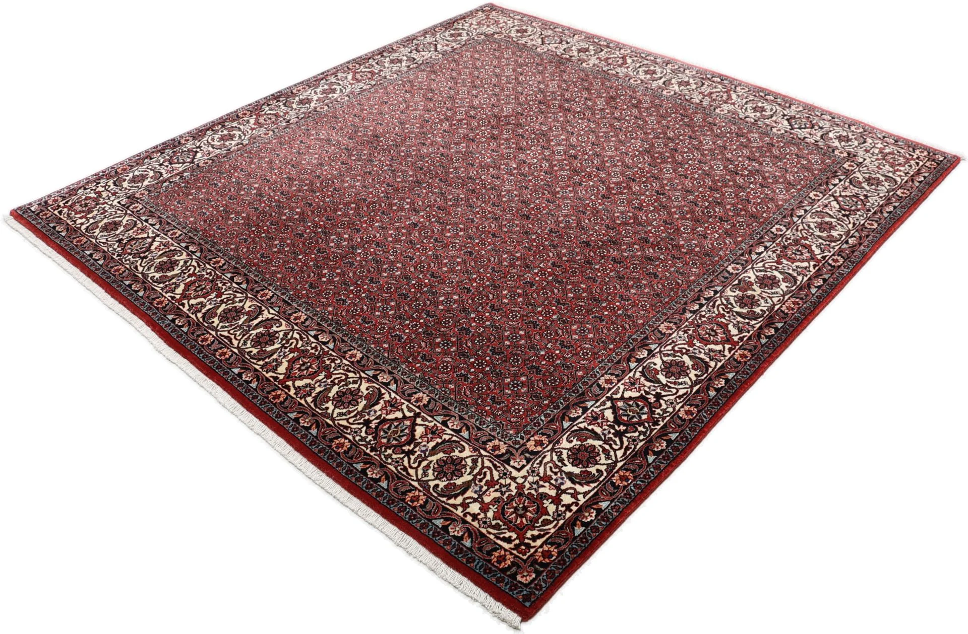 Bijar Perserteppich 204 × 212 cm aus Wolle & Seide, handgeknüpft