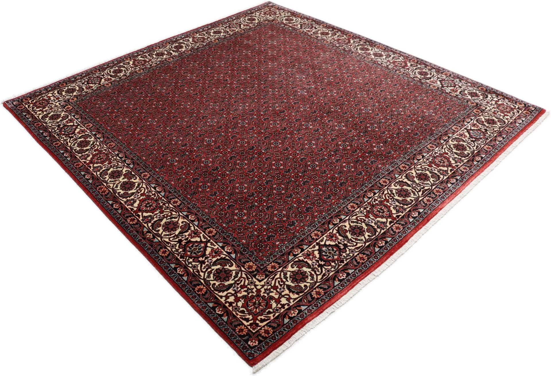 Bijar Perserteppich 204 × 212 cm aus Wolle & Seide, handgeknüpft