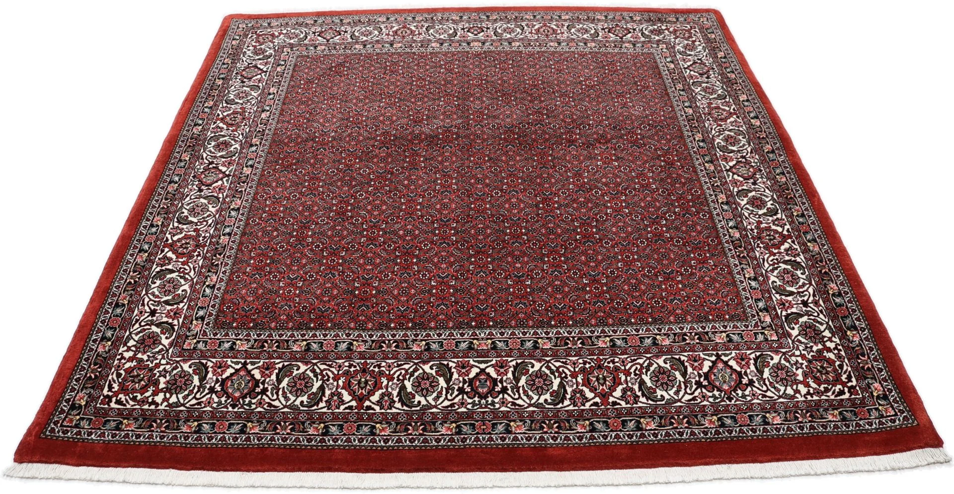 perserteppich-bidjar-210-x-220-cm-schurwolle-handgeknupft-12 Handgeknüpfter Bijar Perserteppich 210 × 220 cm