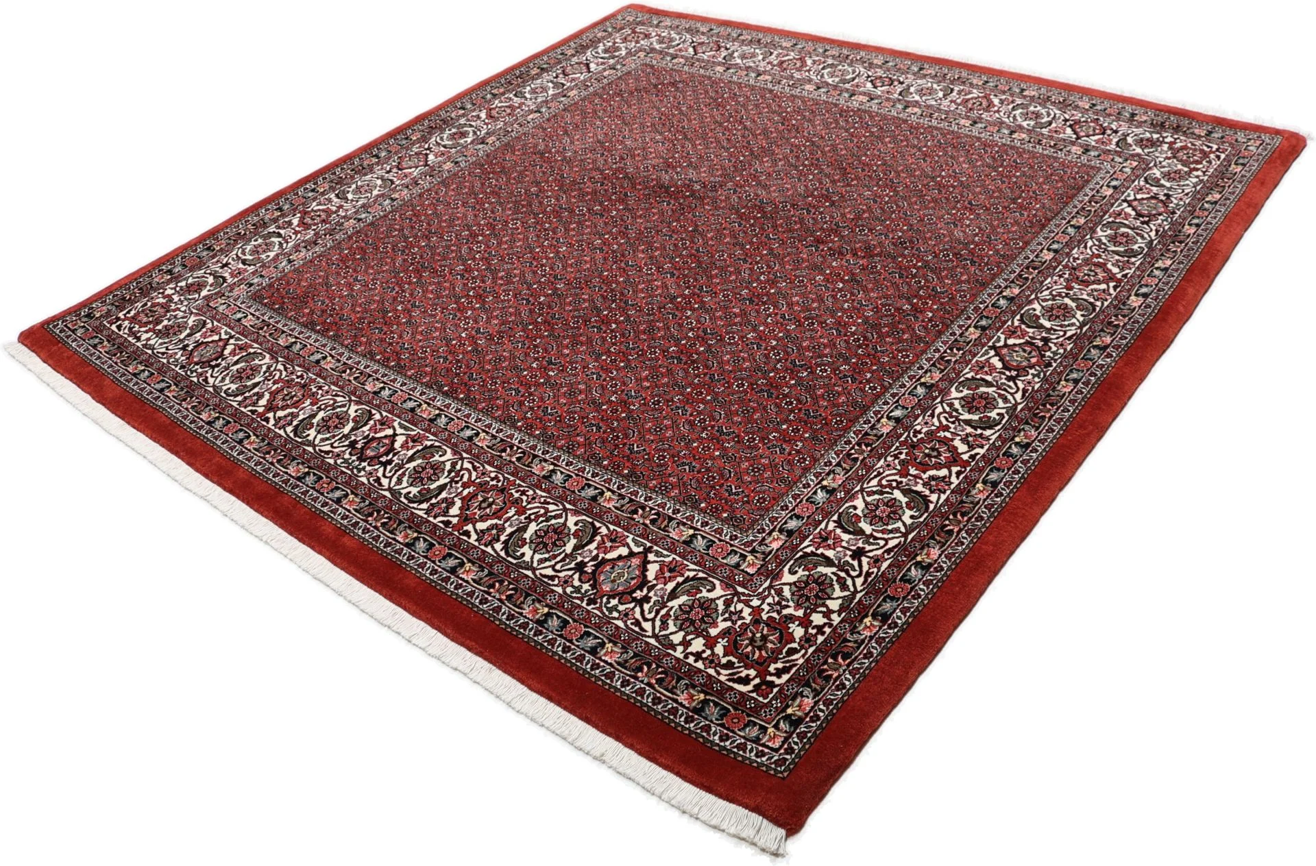 perserteppich-bidjar-210-x-220-cm-schurwolle-handgeknupft-15 Handgeknüpfter Bijar Perserteppich 210 × 220 cm