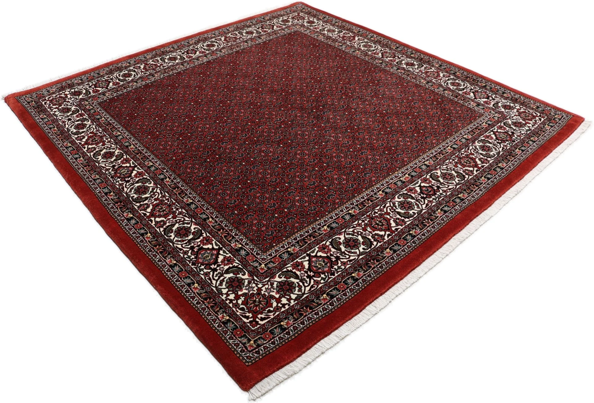 perserteppich-bidjar-210-x-220-cm-schurwolle-handgeknupft-18 Handgeknüpfter Bijar Perserteppich 210 × 220 cm
