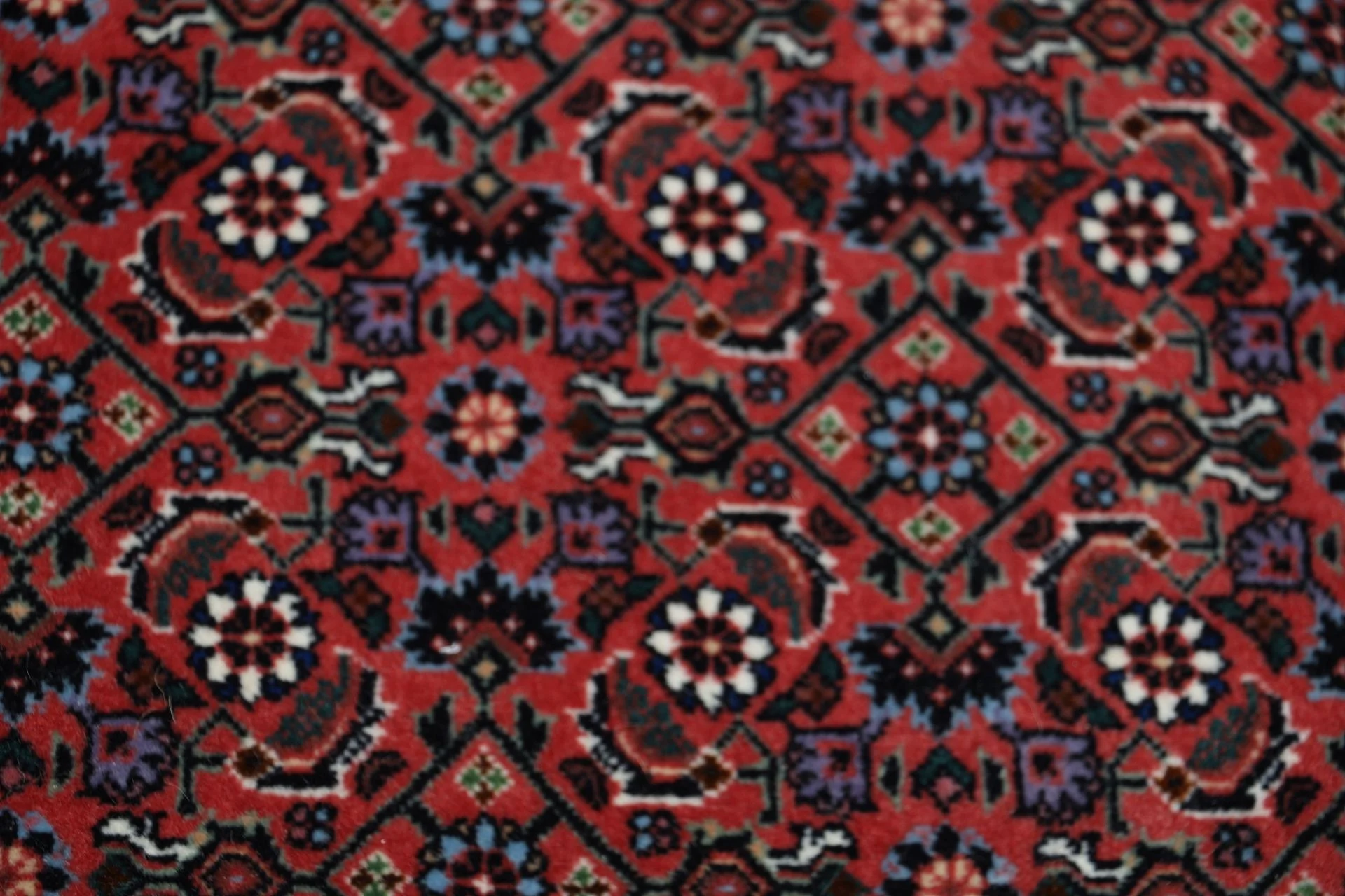 perserteppich-bidjar-247-x-336-cm-schurwolle-handgeknupft-8 Handgeknüpfter Bijar Perserteppich 247 × 336 cm