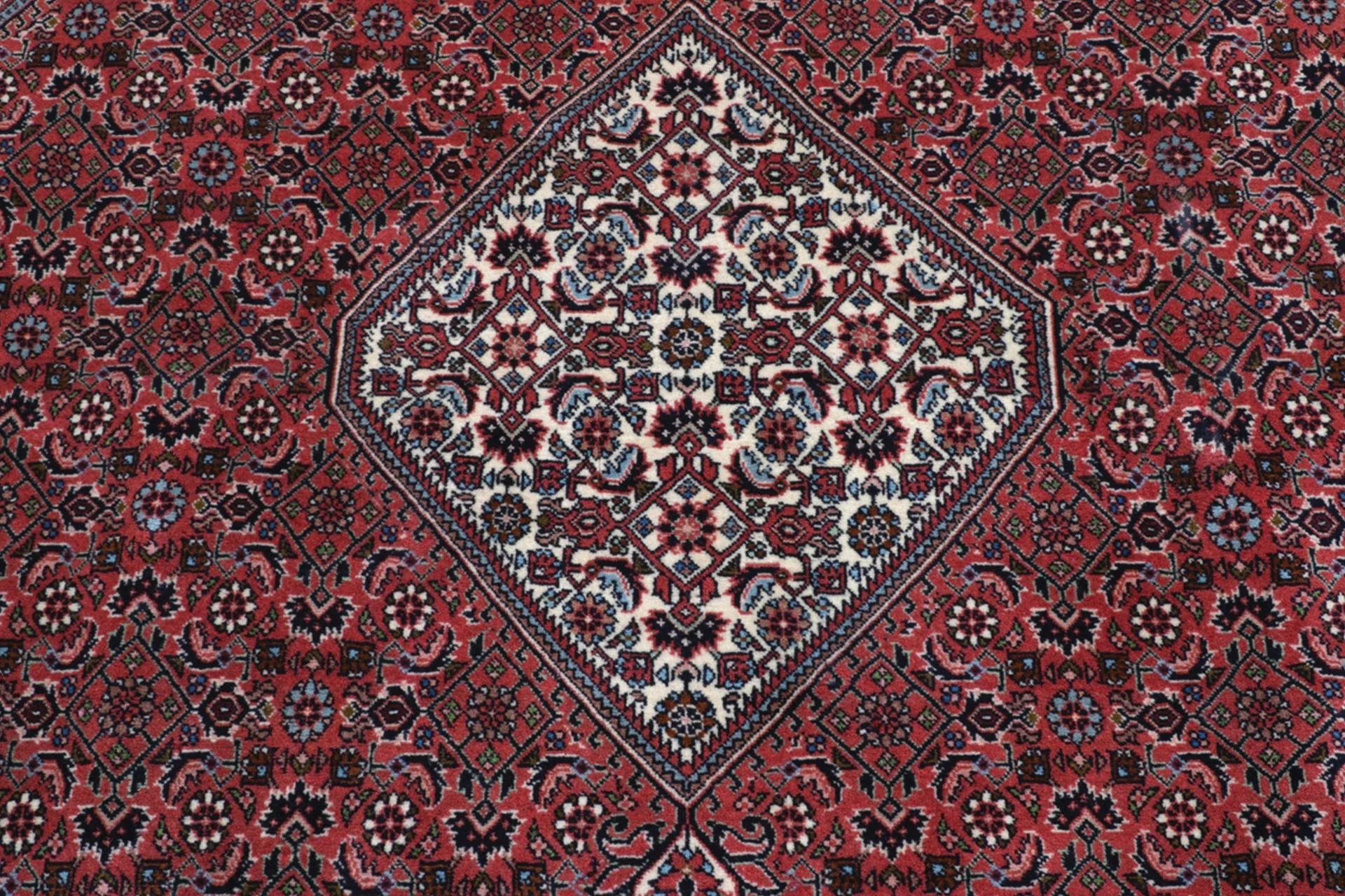 Handgeknüpfter Bijar Perserteppich, 248 × 290 cm, Wolle