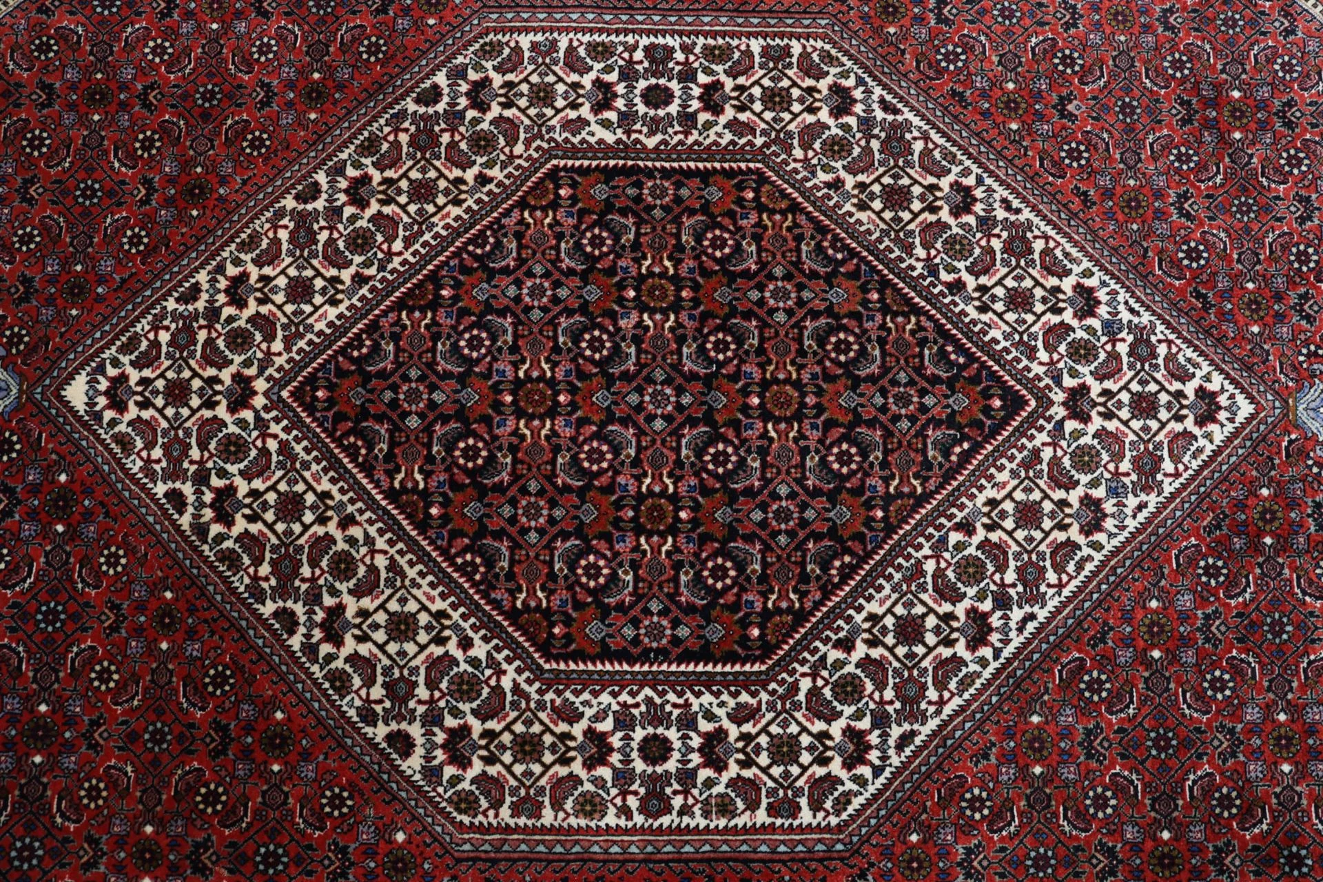 Handgeknüpfter Bijar Perserteppich 205 × 295 cm